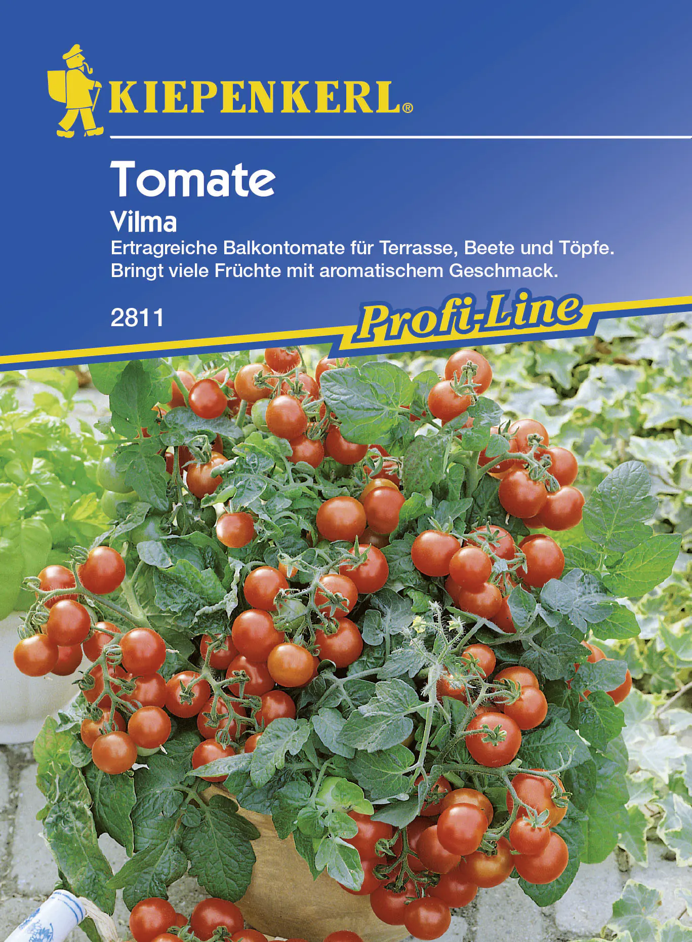 Kiepenkerl Tomate Vilma Solanum lycopersicum, Inhalt: 10 Korn