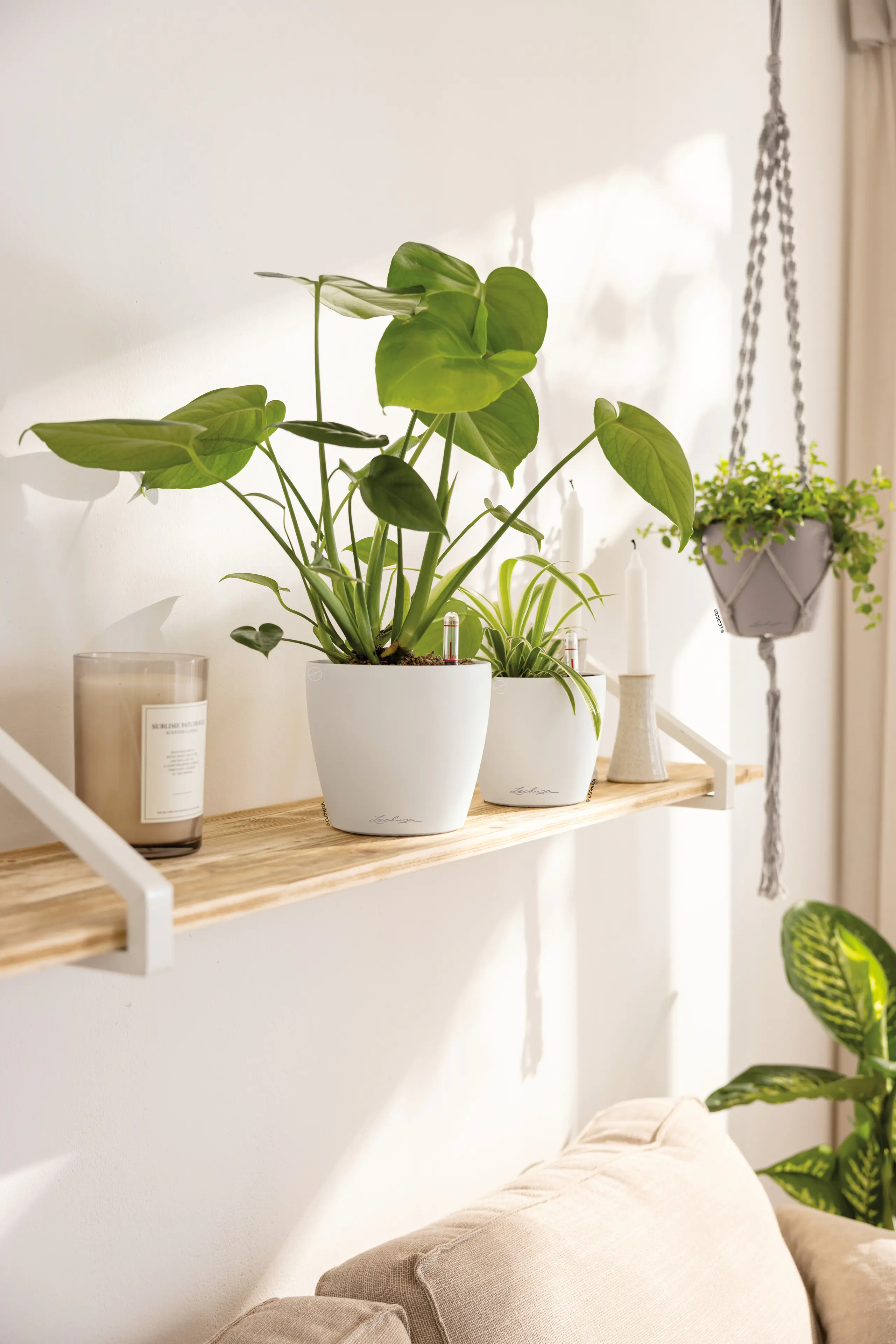 Lechuza Pflanzgefäß-Set Classico Color 14 Kunststoff weiß Ø 15,2 x 13,7 cm