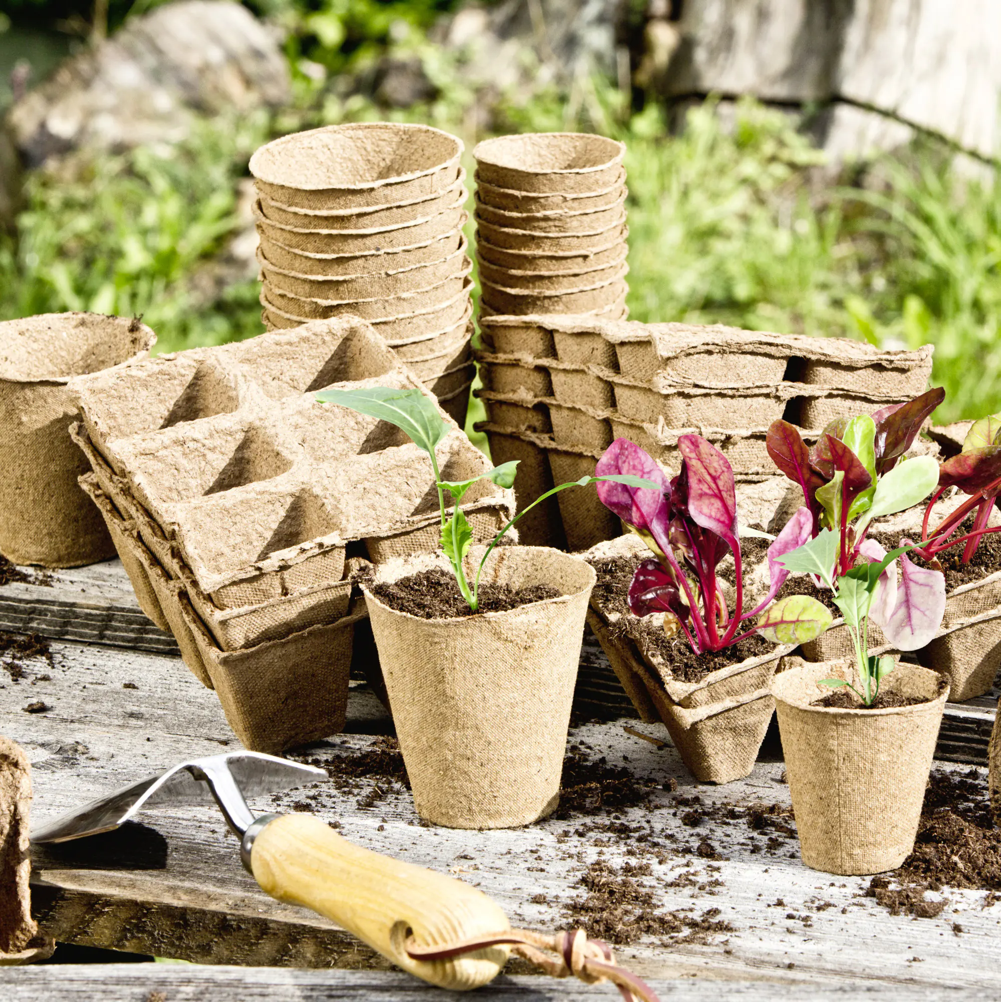 Windhager Anzucht-Töpfe 8 cm eckig 