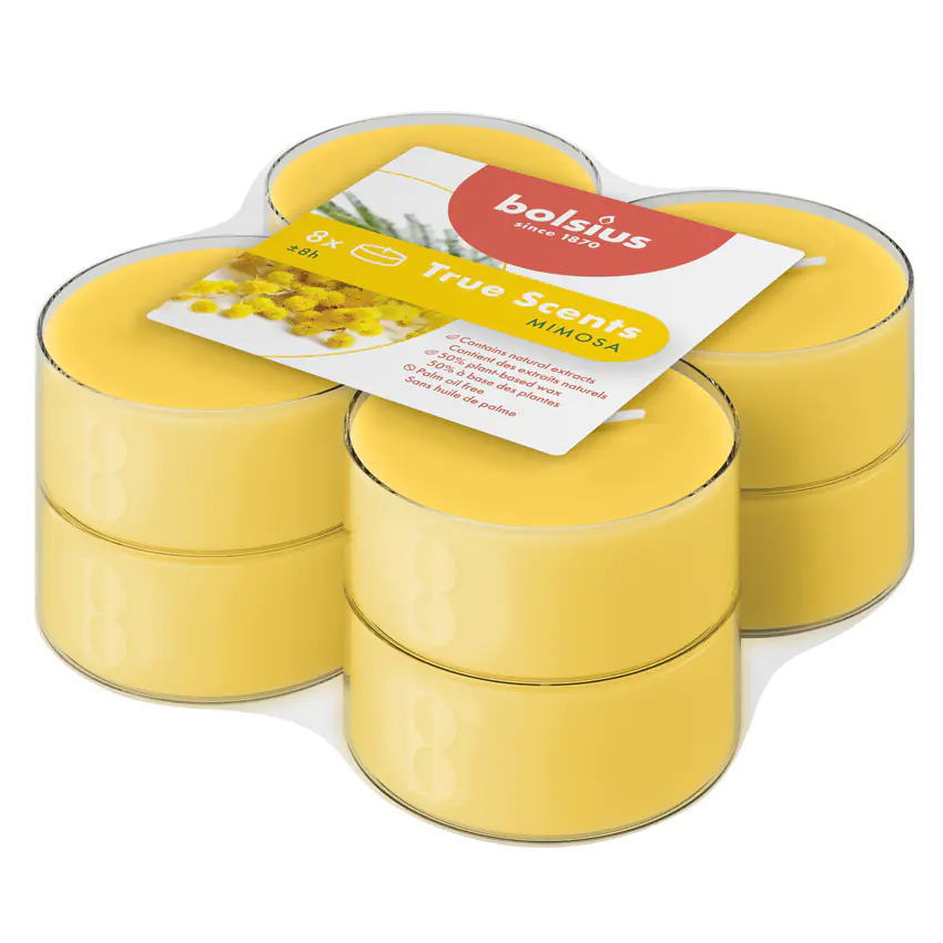 Bolsius Duft-Teelichte Maxi 8 Stunden 8er Pack True Scents Mimose