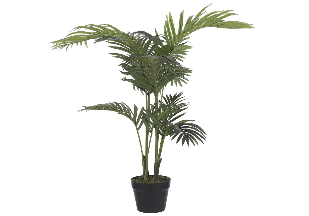 Mica Palme im Topf grün, 100 x 70 cm