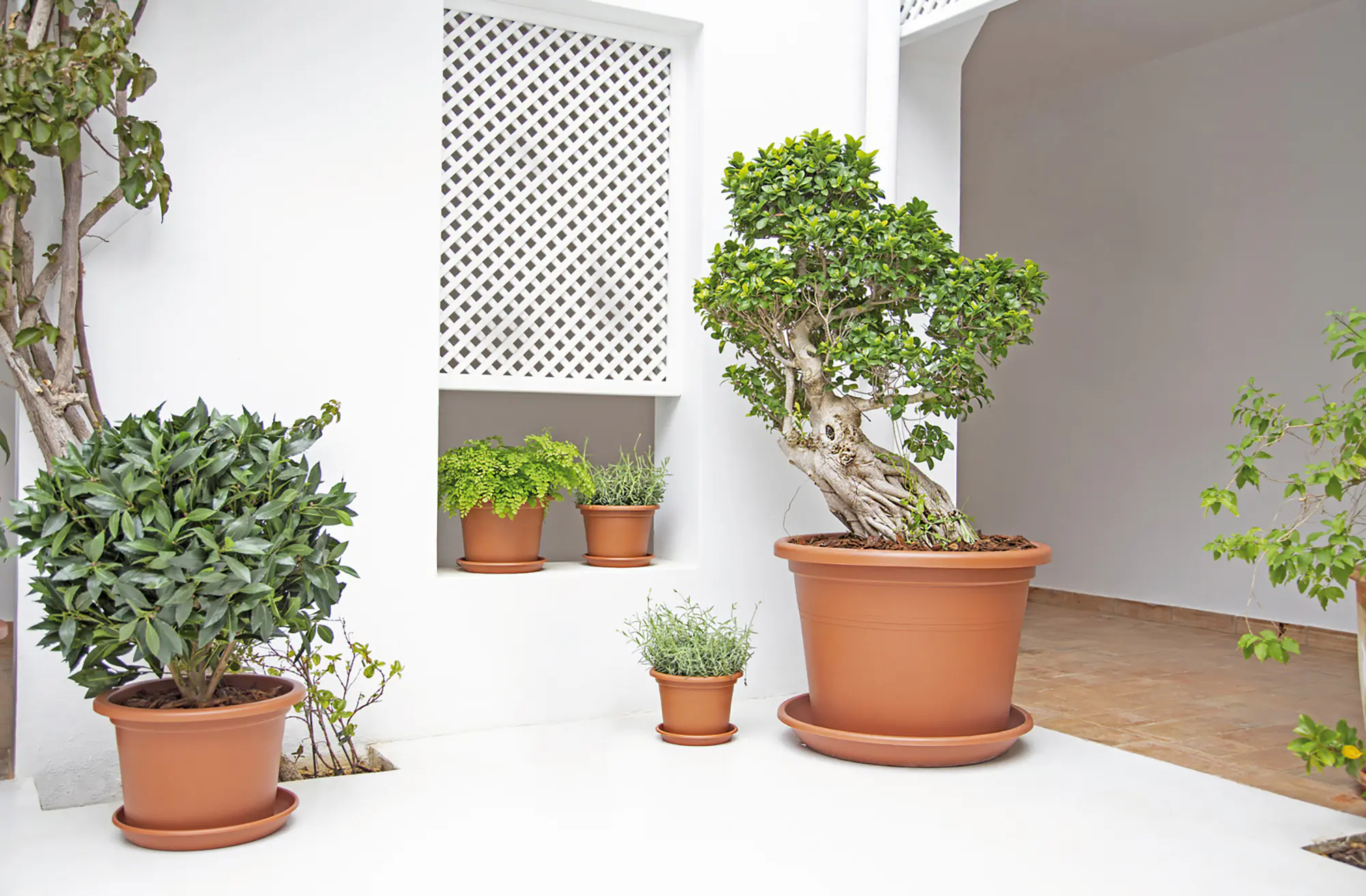 Artevasi Pflanztopf Venezia Cilindro Kunststoff terrakotta matt Ø 35 x 25 cm