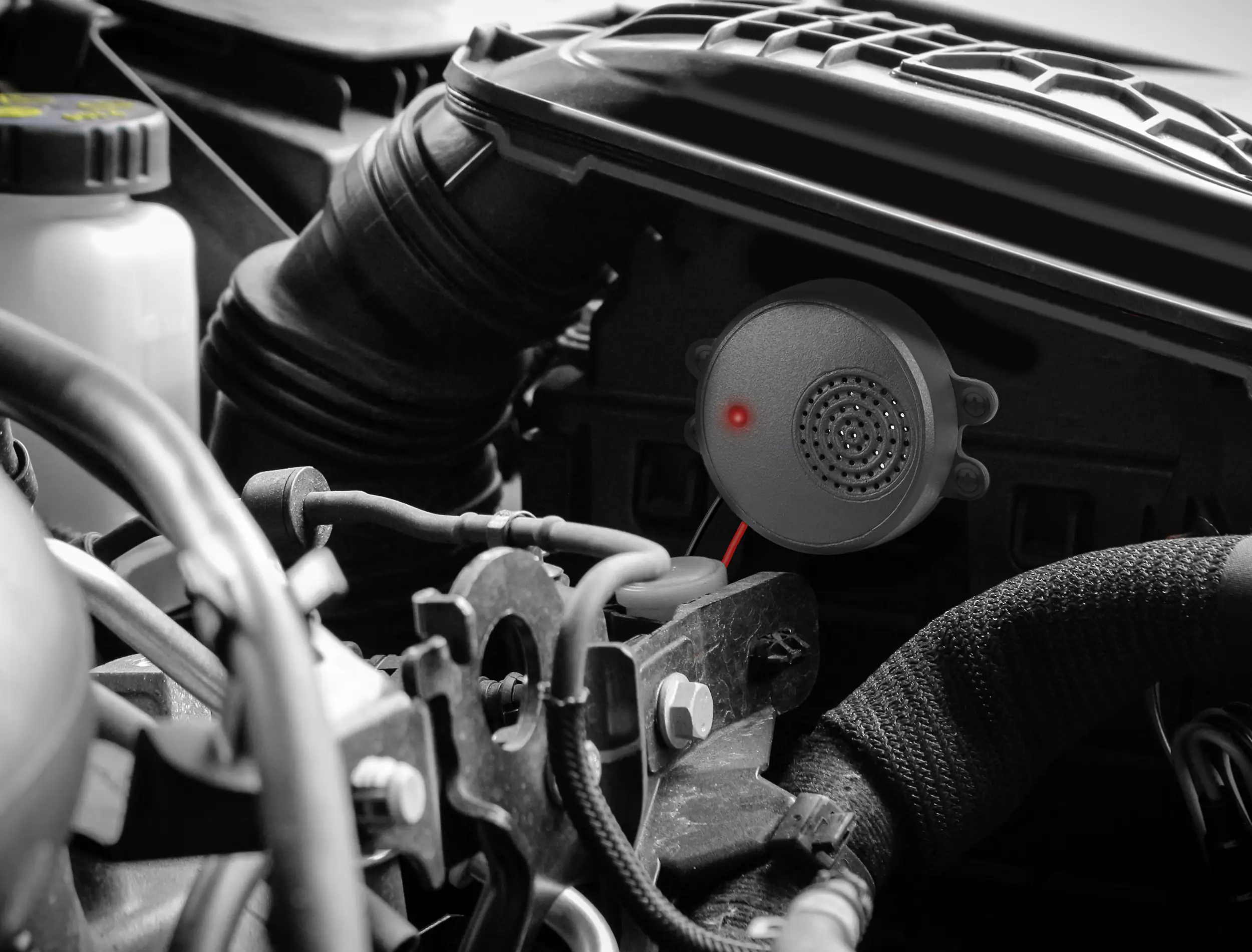 Marderschreck Marderabwehrgerät Ultraschall 12V