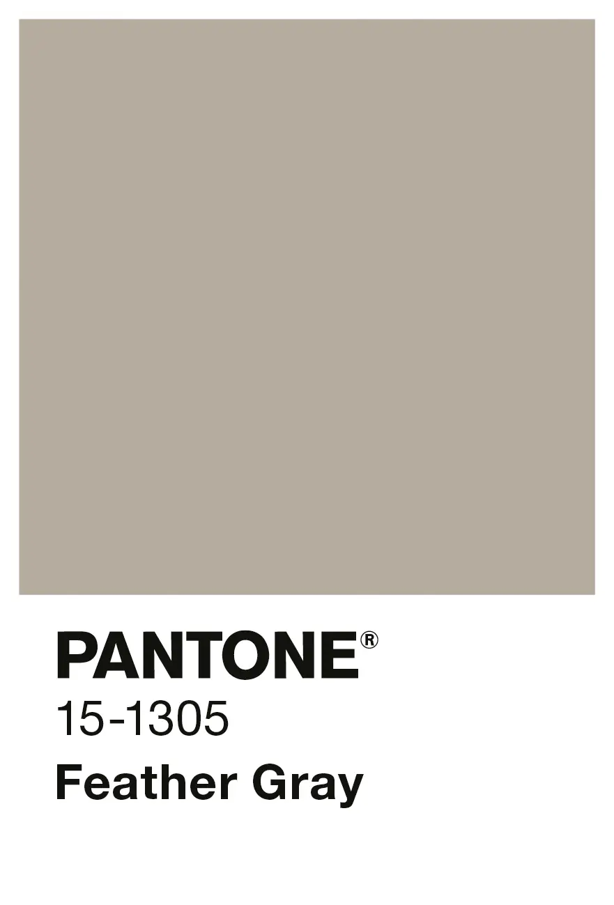 Alpina Wandfarbe Pantone matt feather gray 2,5 L