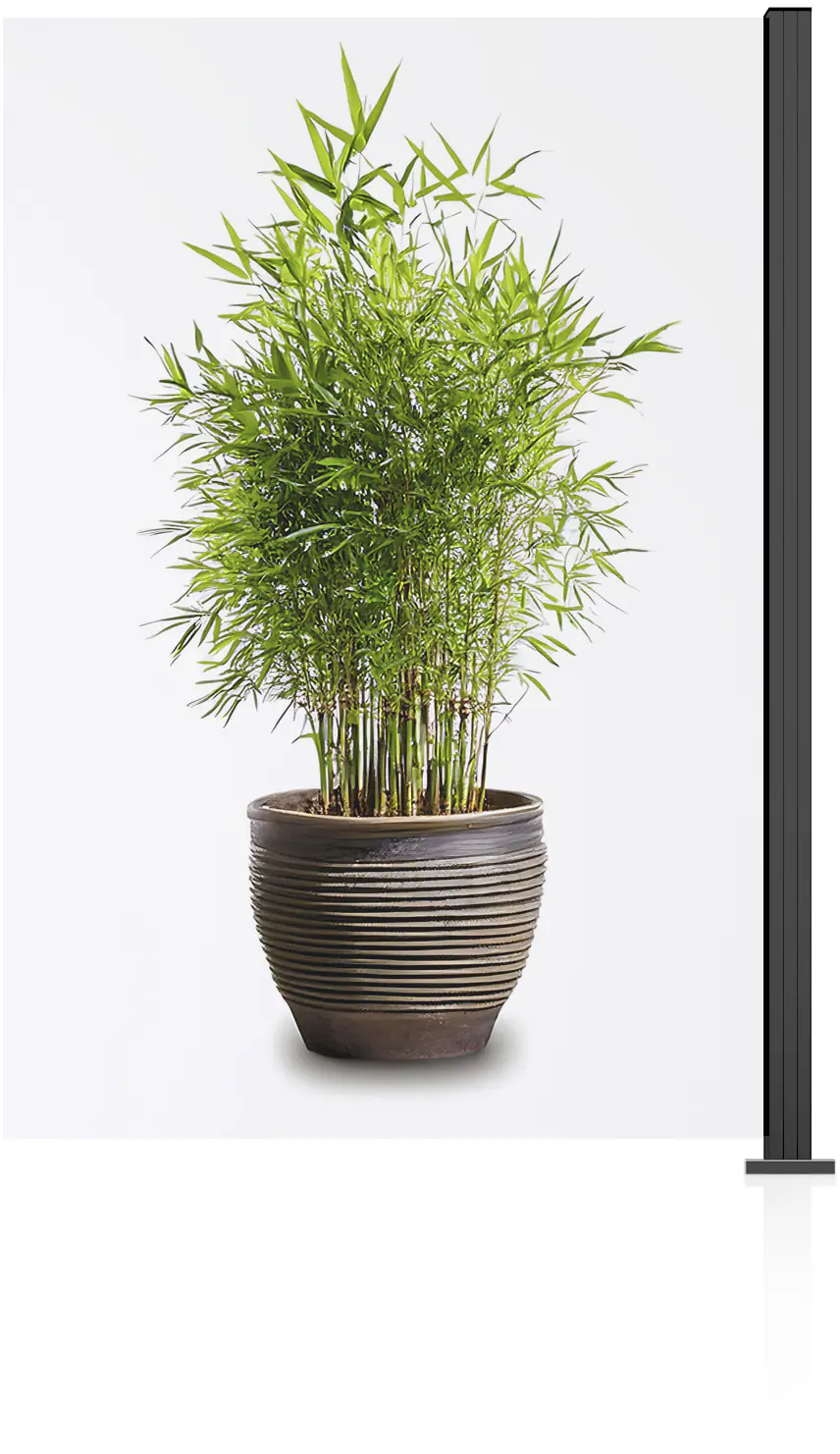 Ambiente Glaszaun Erweiterungsset Klarglas 187 x 124,2 cm anthrazit Ambiente Glaszaun Erweiterungsset Klarglas 187 x 124,2 cm anthrazit