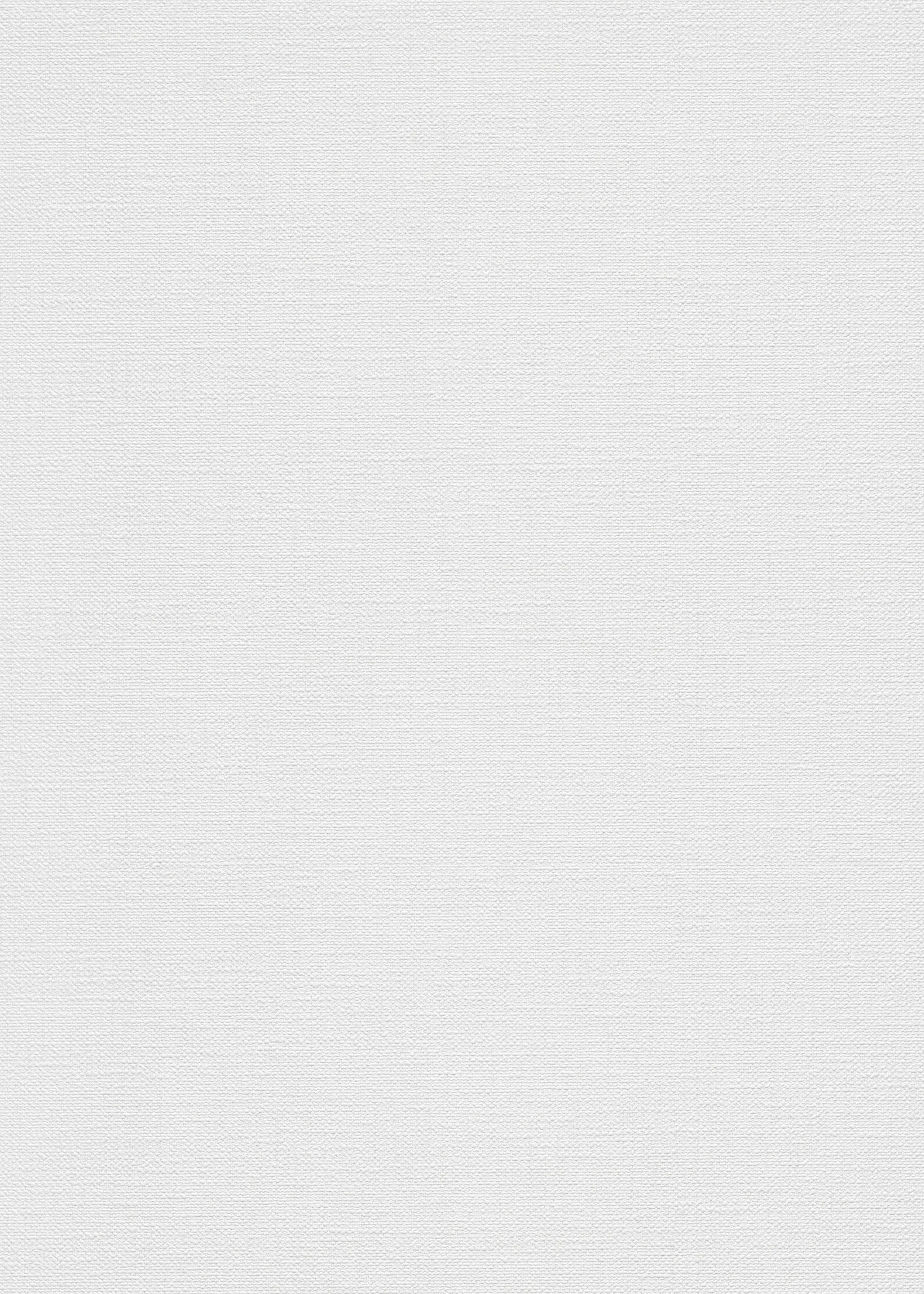 Erismann Vliestapete Dolce Uni grau 10,05 x 0,53 m