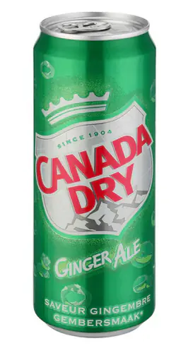 Canada Dry 24 x 0,33 l