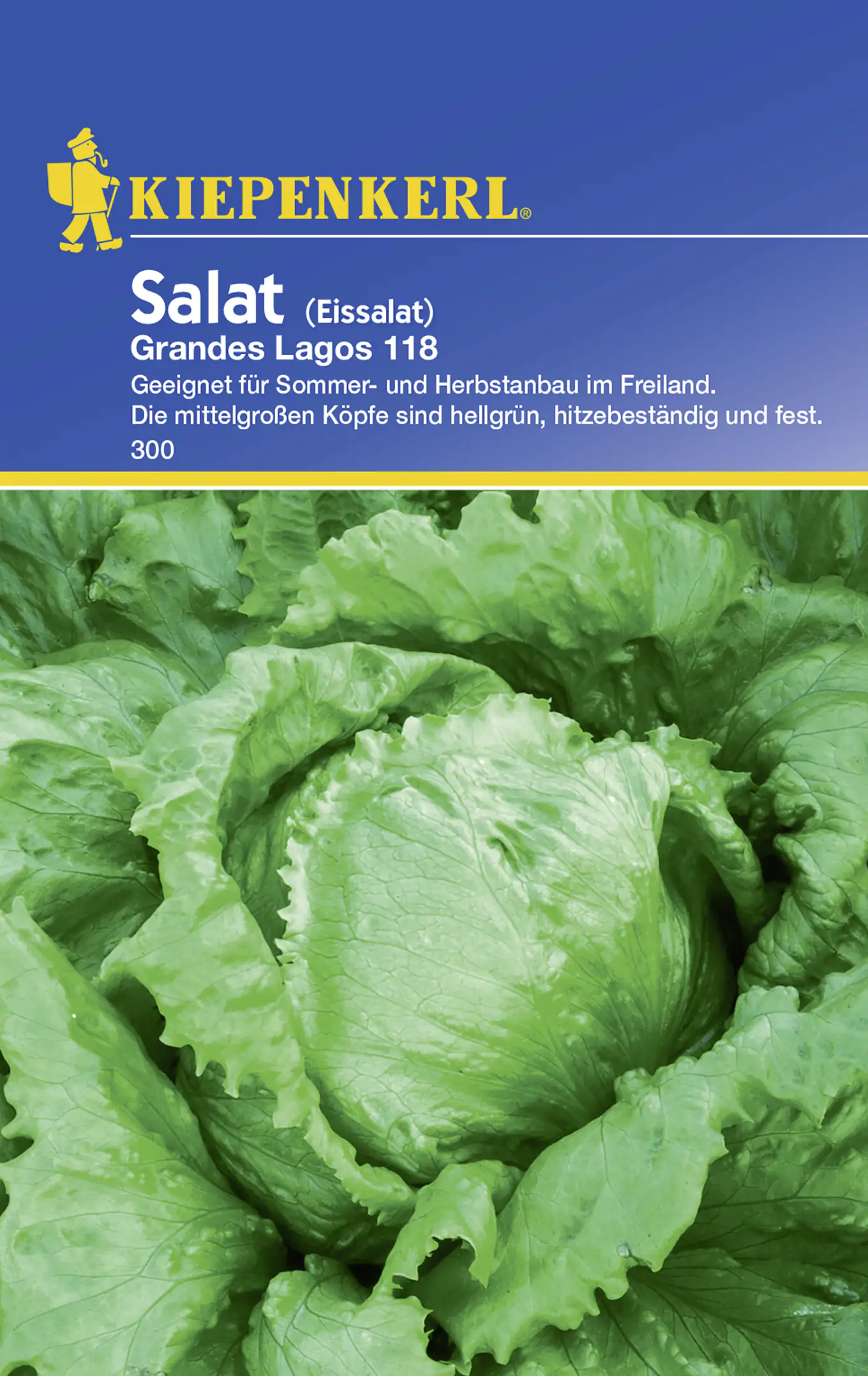 Kiepenkerl Eissalat Grandes Lagos 118 Lactuca sativa, Inhalt: ca. 200 Pflanzen