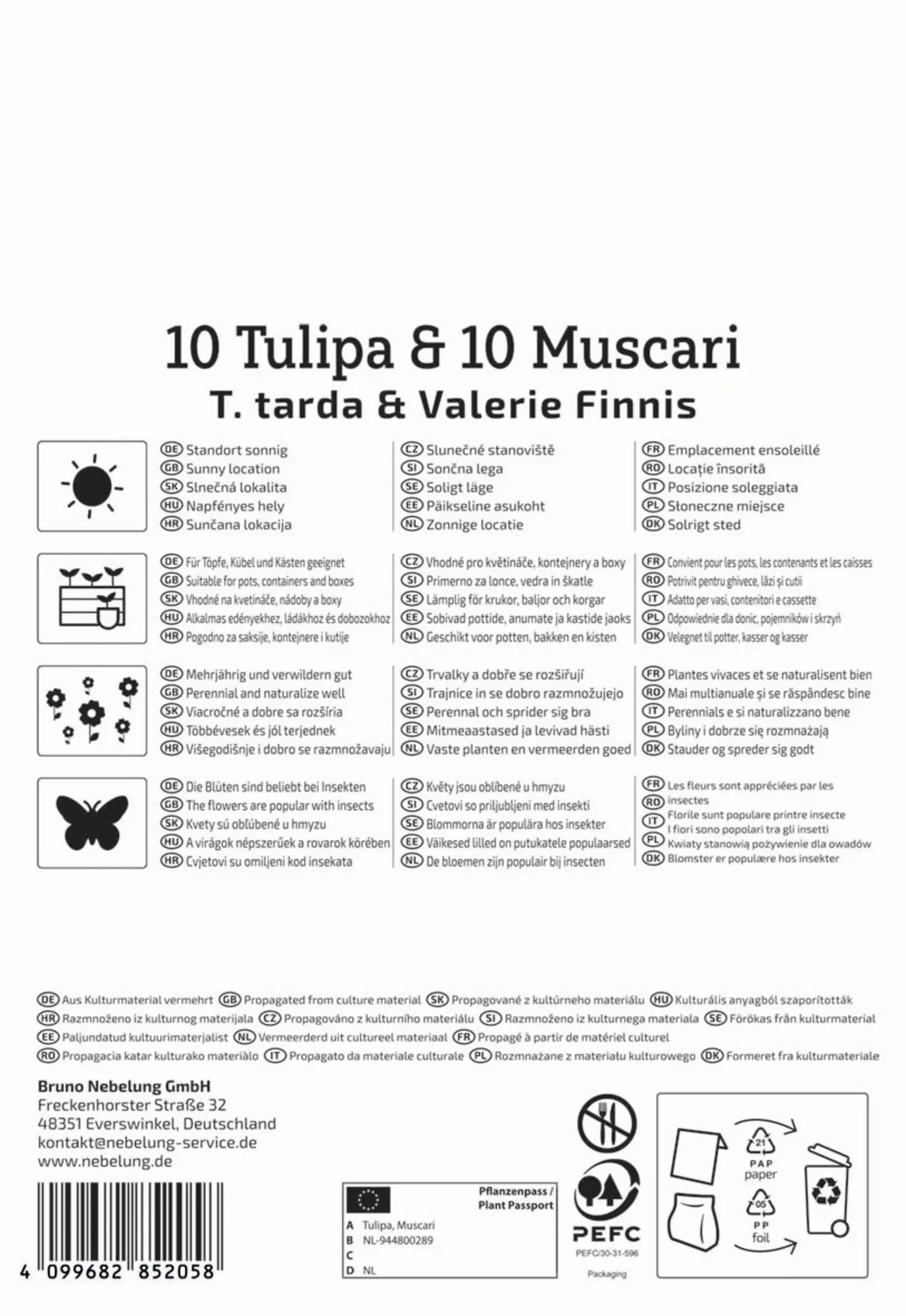 Kiepenkerl Herbstblumenzwiebelmischung Sun and Sky Duo 20 Stück