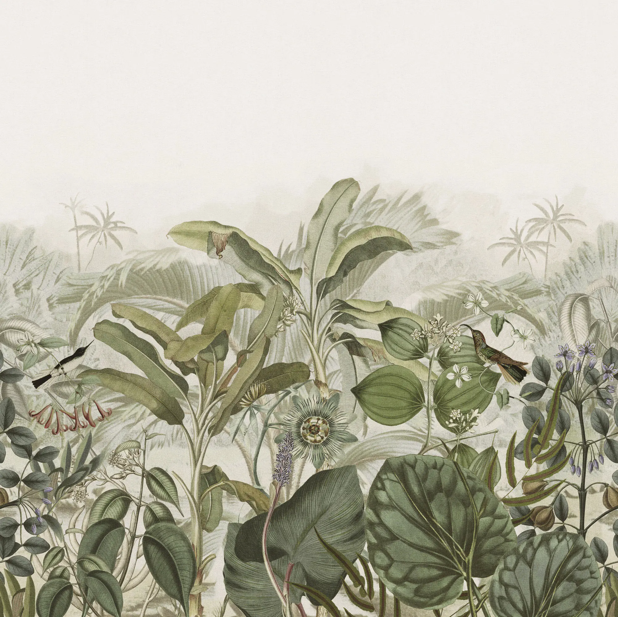 Rasch Vlies Fototapete 543698 Grün-Hellgrün Muster & Motive 2,65 m x 2,65 m