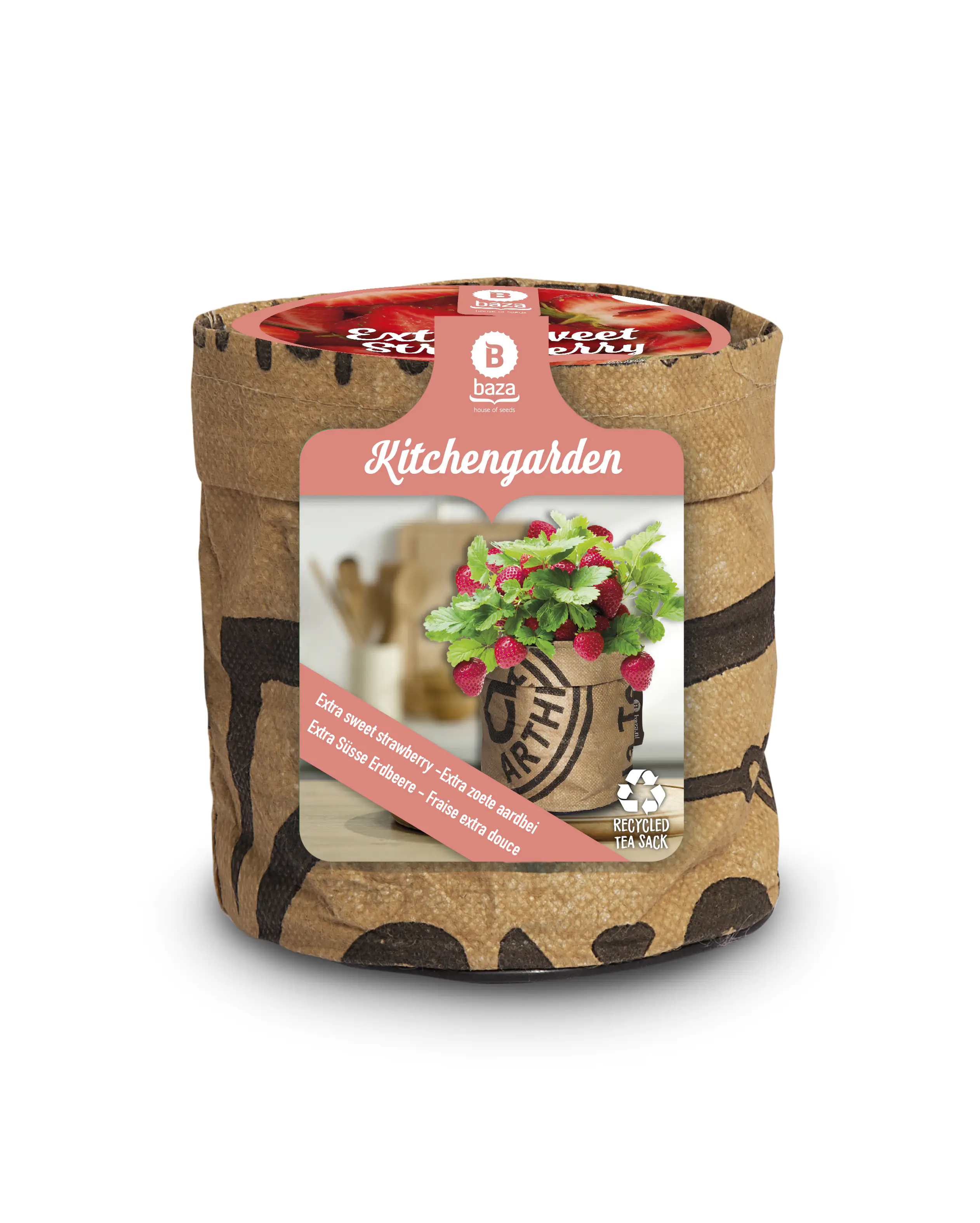 Baza Seeds Kitchengarden extra süße Erdbeere