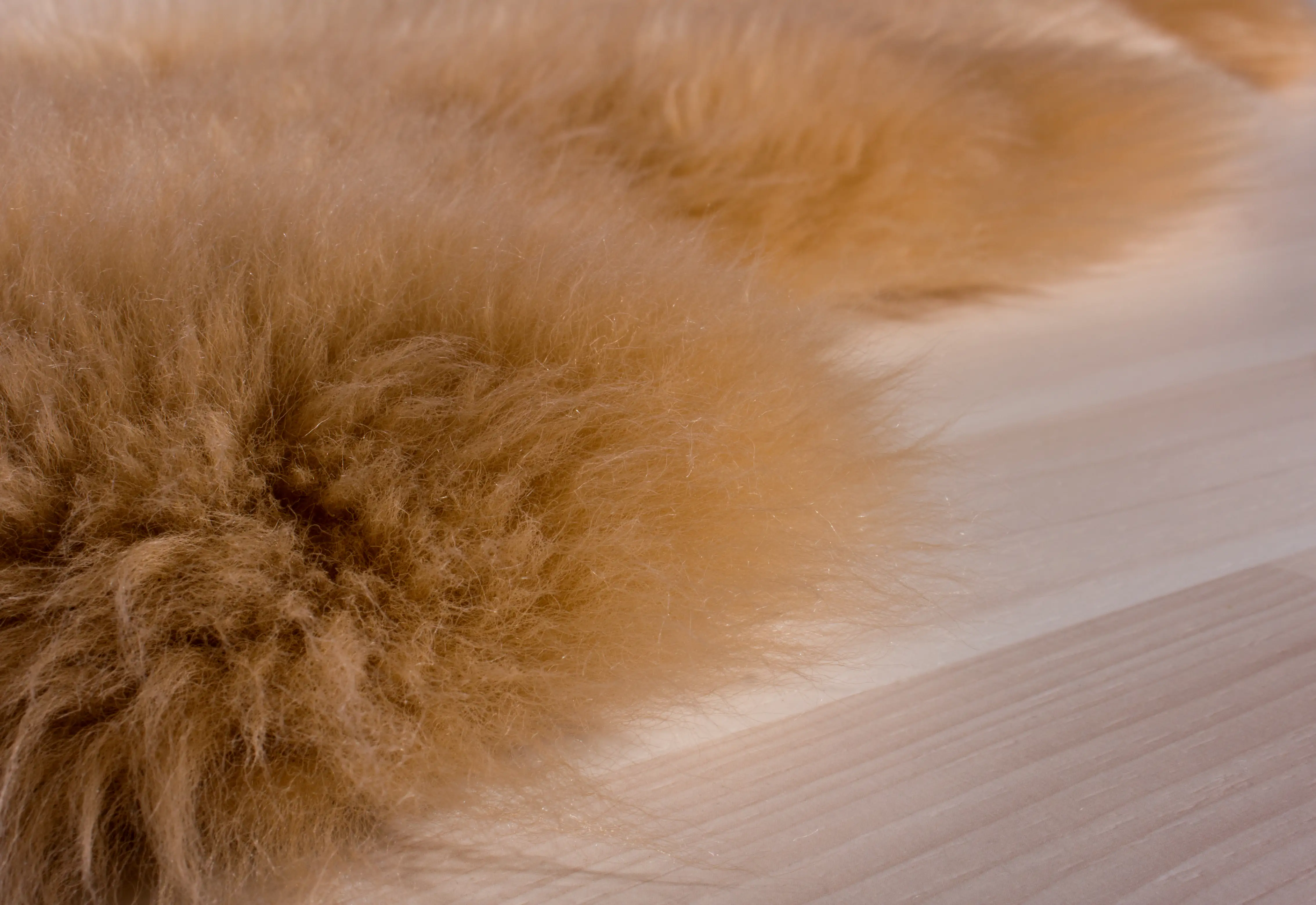 Schaffell Double cognac cognac, 60 x 160 cm