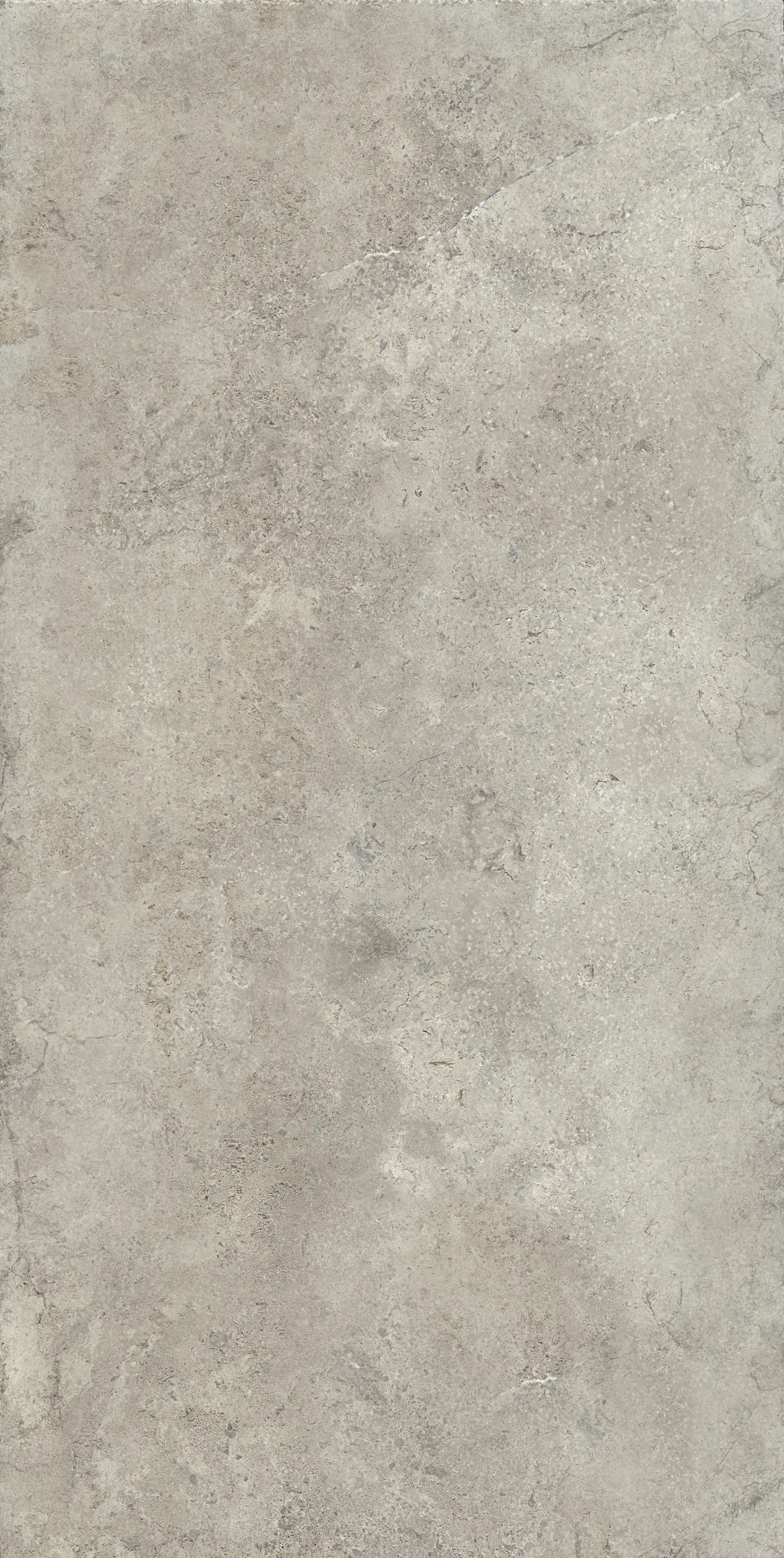 Bodenfliese Feinsteinzeug Jana 31 x 62 cm grau