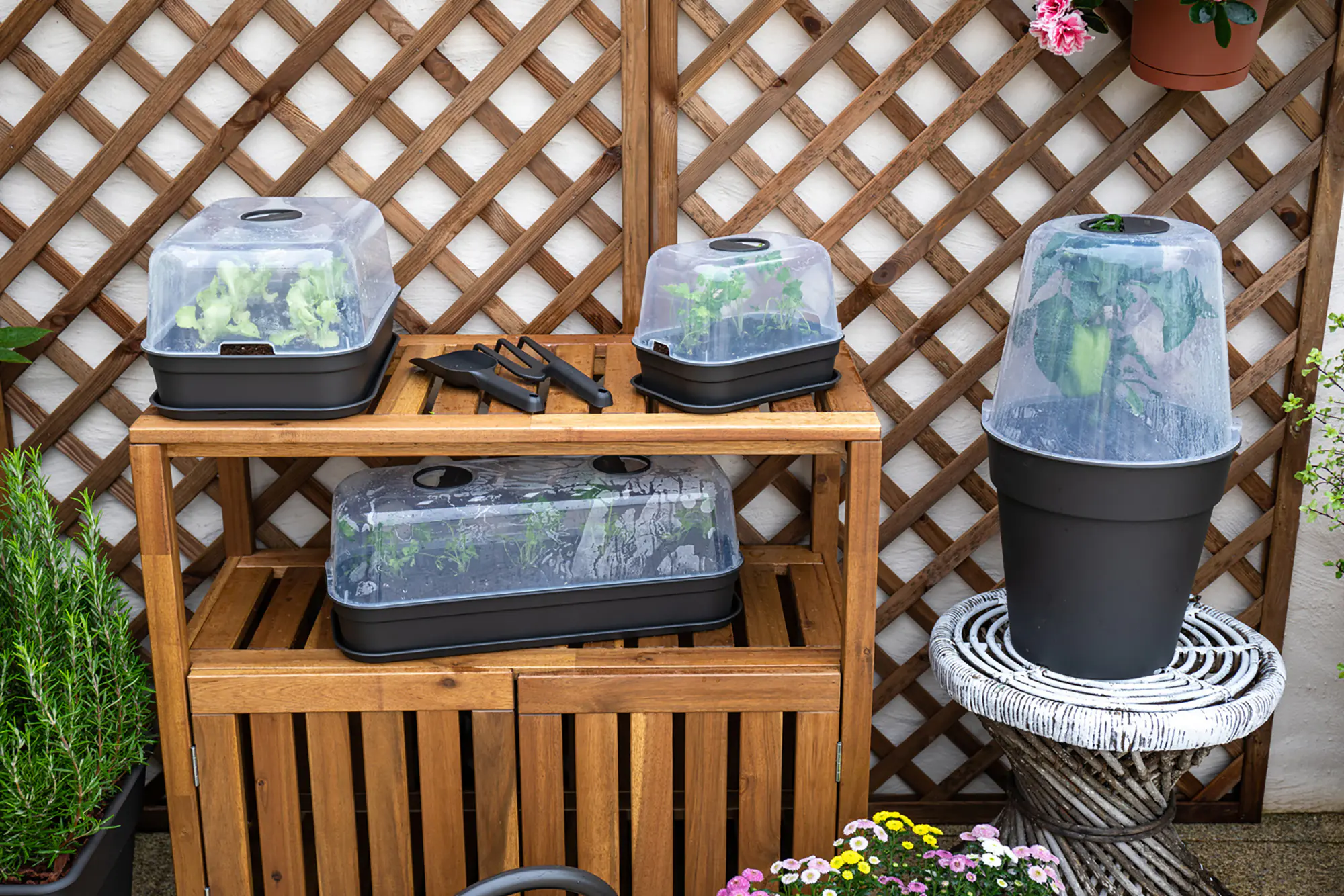 Artevasi Anzuchttopf Madagascar Kunststoff trockengrün Ø 19 x 17 cm 