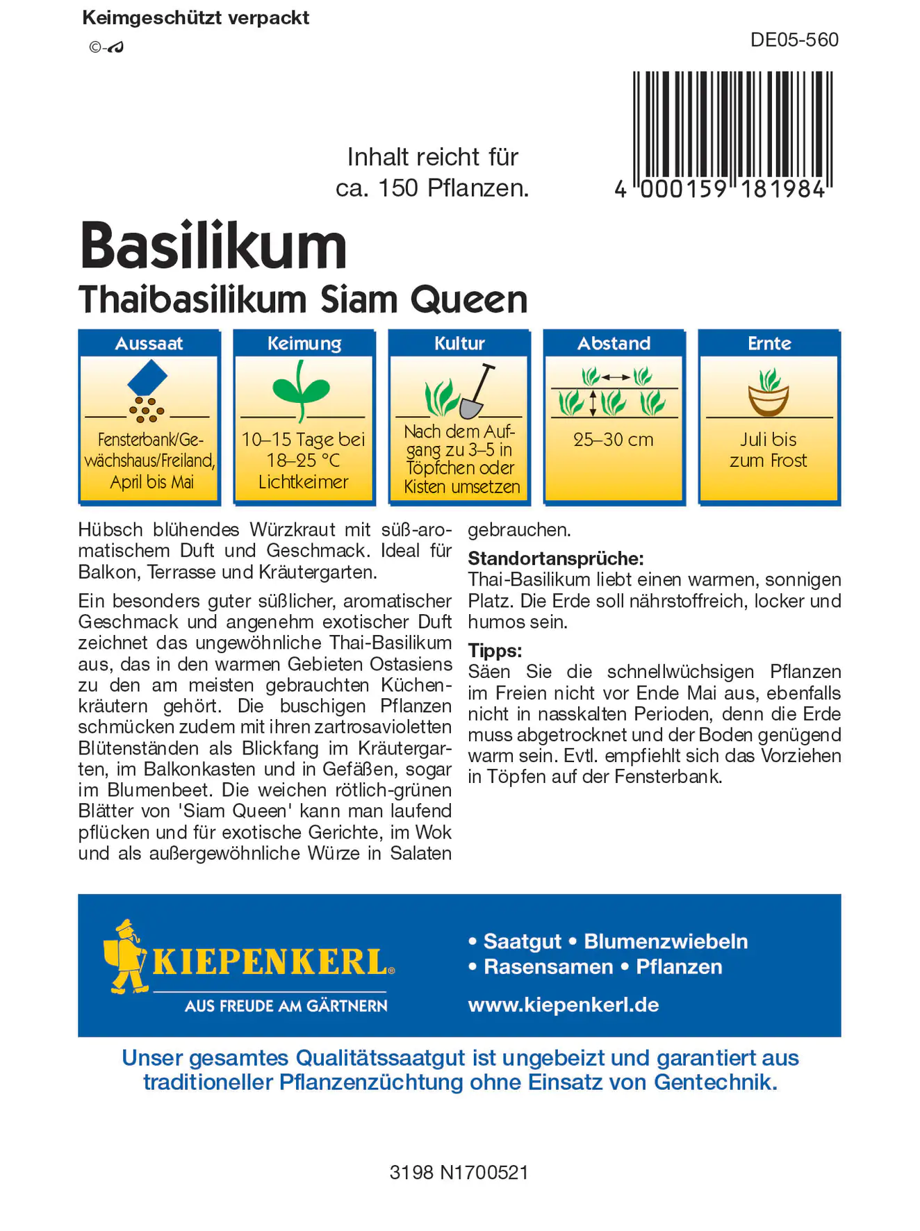 Kiepenkerl Thaibasilikum Siam Queen Kiepenkerl Thaibasilikum Siam Queen