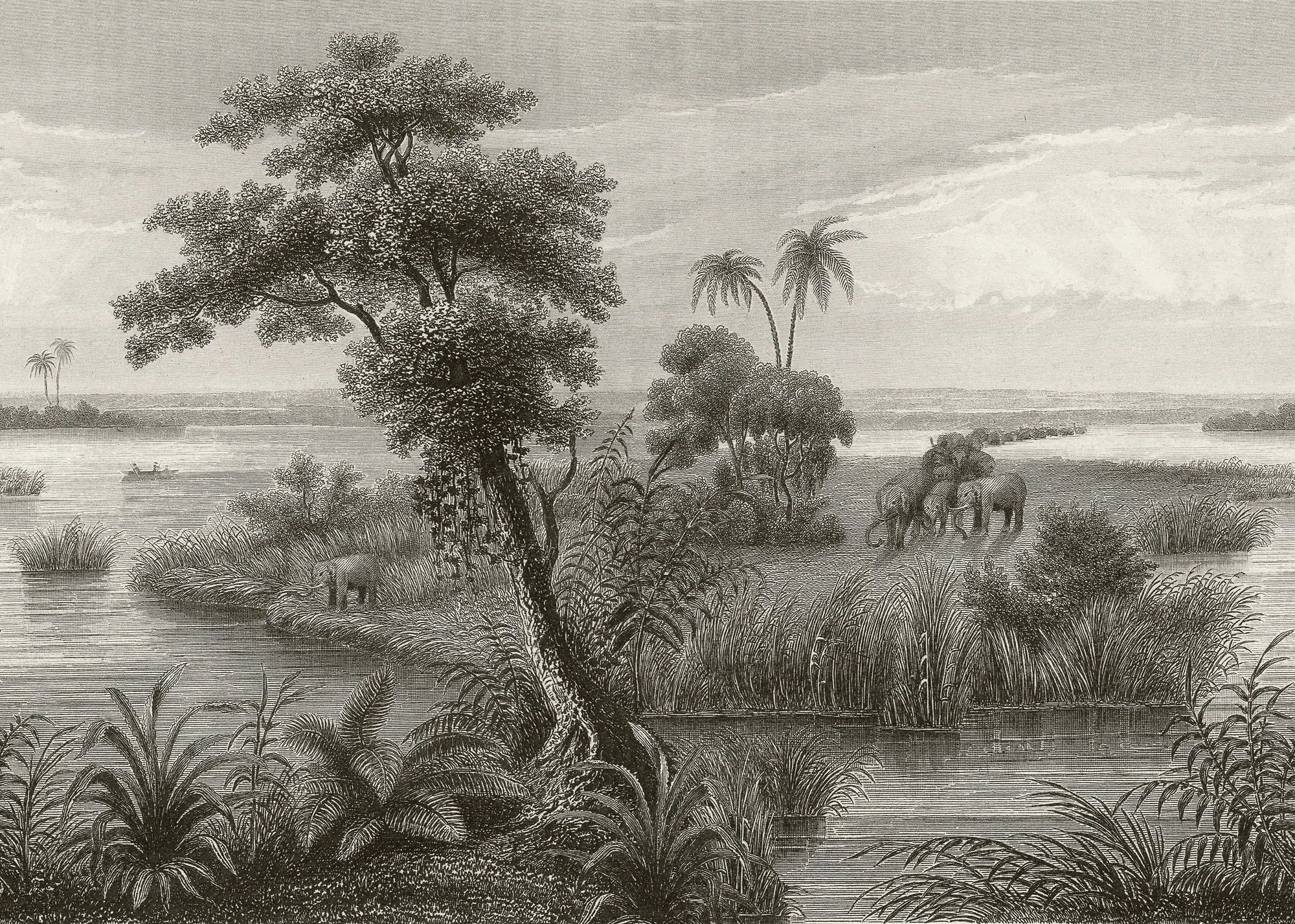 Rasch Vlies Fototapete 556148 Schwarz-Anthrazit Muster & Motive 2,65 m x 3,71 m