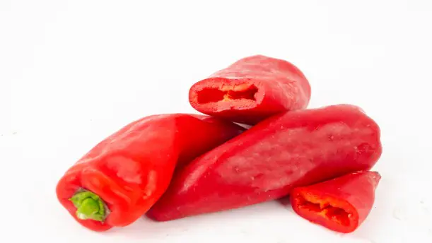 Resistente Gemüsepflanzen Spitzpaprika Capsicum rot 12 cm Topf