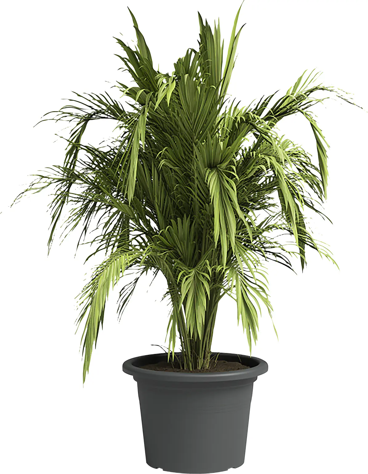 Artevasi Pflanztopf Venezia Cilindro Kunststoff anthrazit matt Ø 25 x 18 cm