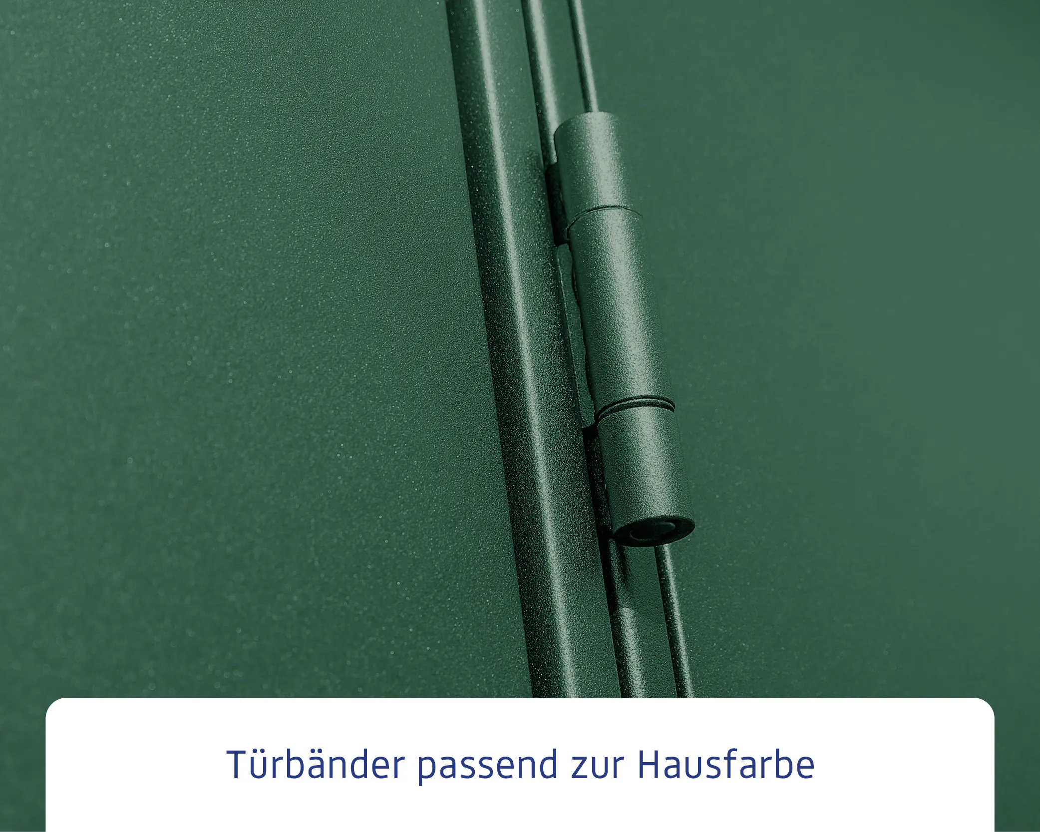 EcoStar Gerätehaus Elegant-S Typ 2 258,8 x 247,7 x 216 cm moosgrün