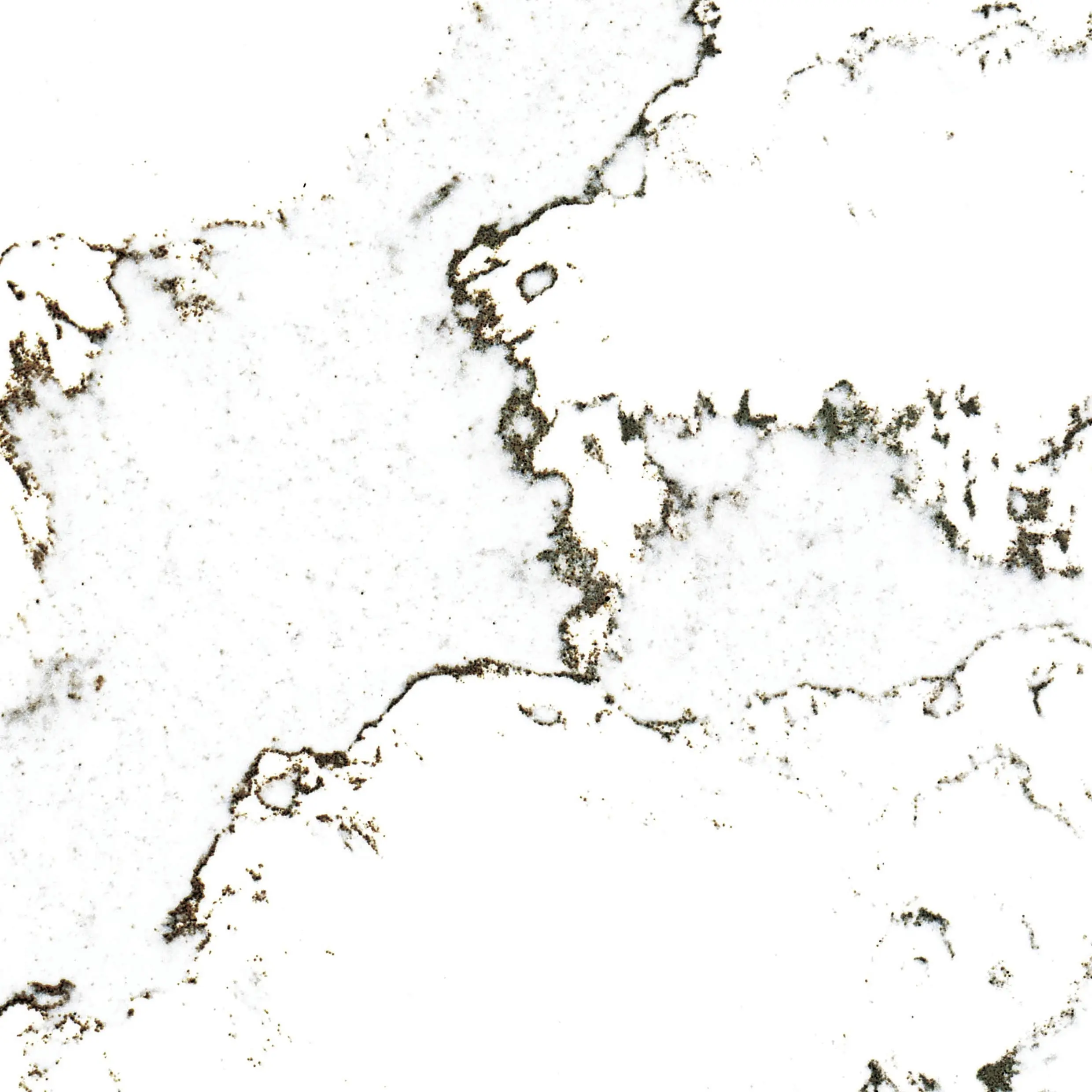 Wetwall Alloy Spritzschutzwand 80 x 25 cm Calacatta Volegno