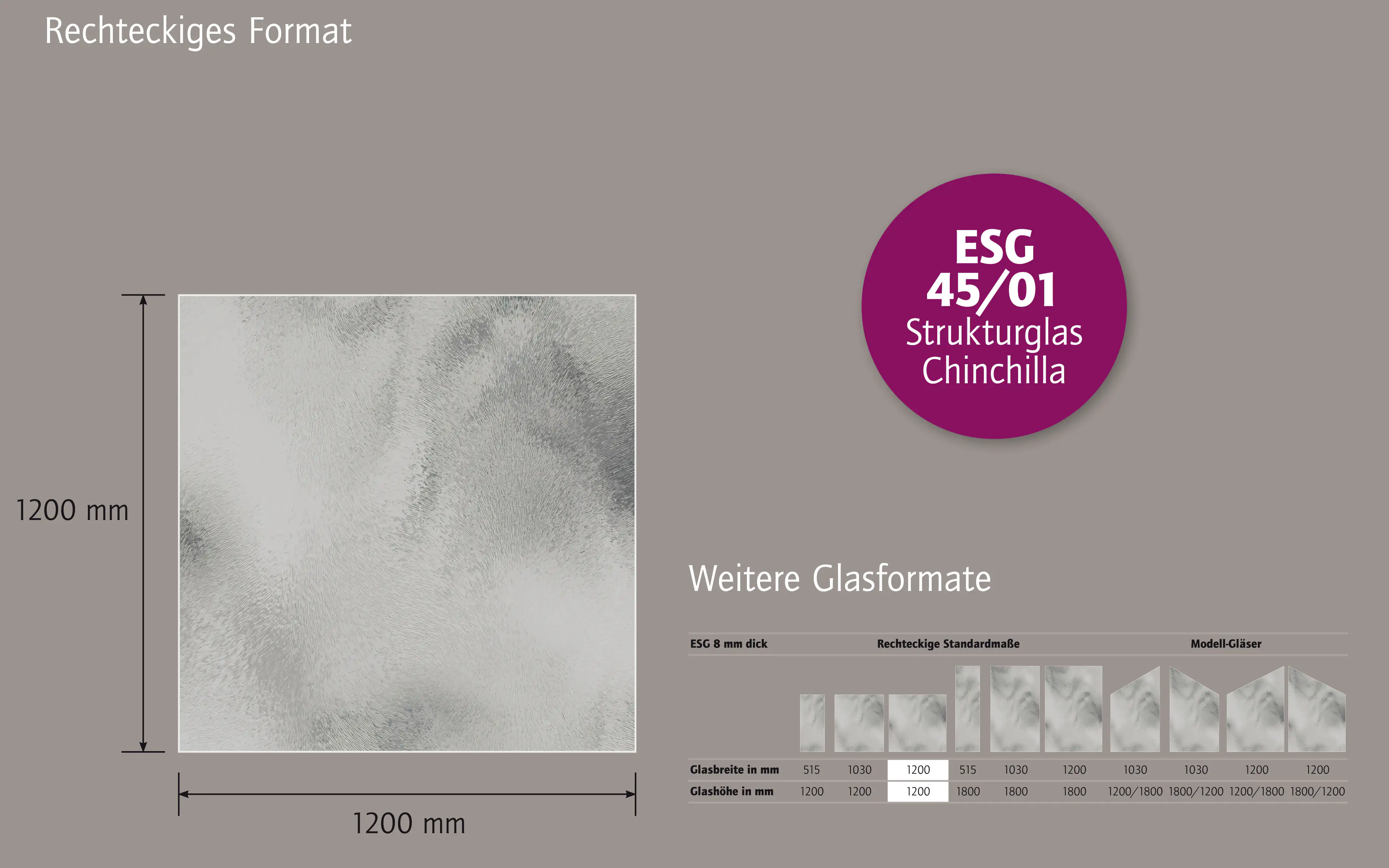 Ambiente Glaszaun B x H: 120 cm x 120 cm, gehärtetes 8 mm Glas Ambiente Glaszaun B x H: 120 cm x 120 cm, gehärtetes 8 mm Glas