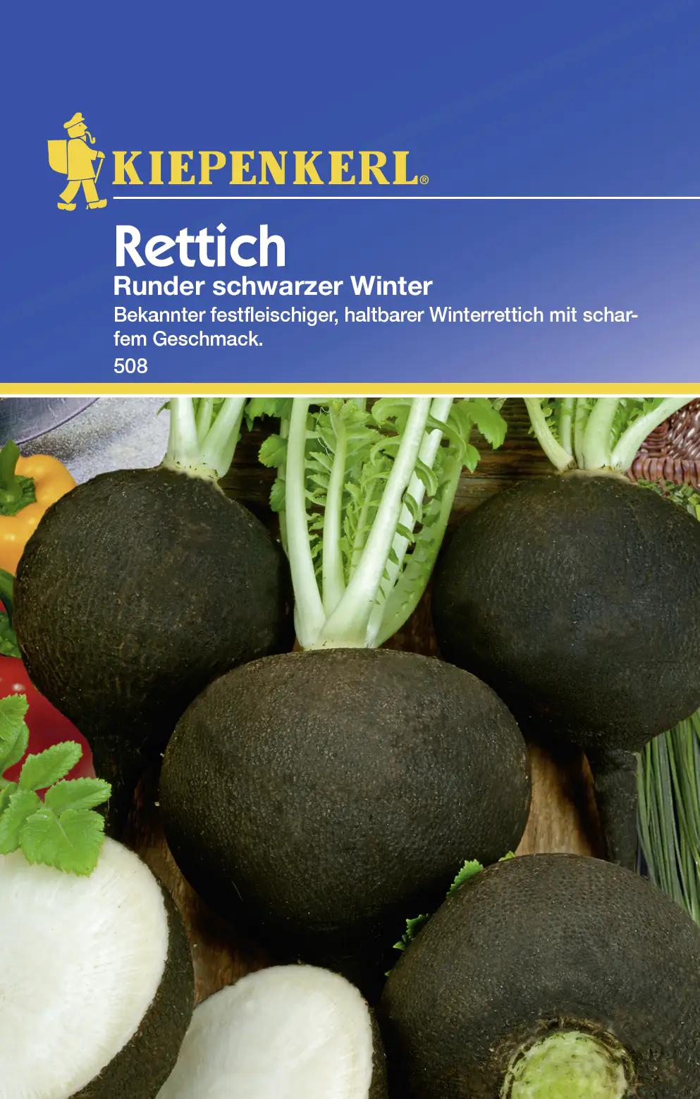 Kiepenkerl Rettich Runder schwarzer Winter Raphanus sativus, Inhalt: ca. 150 Pflanzen