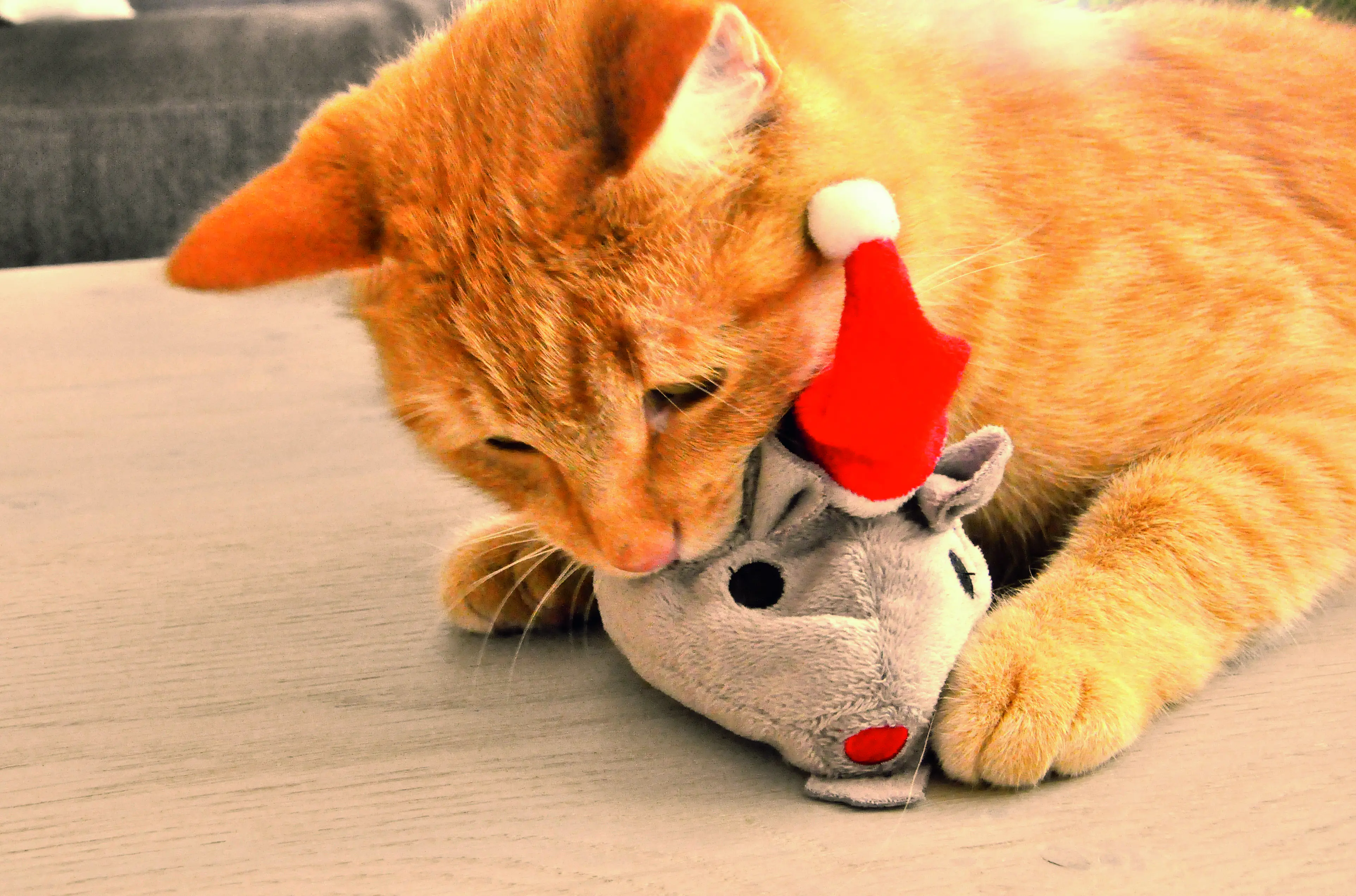 Aumüller Katzenspielzeug Weihnachtsmaus mit Baldrianwurzel