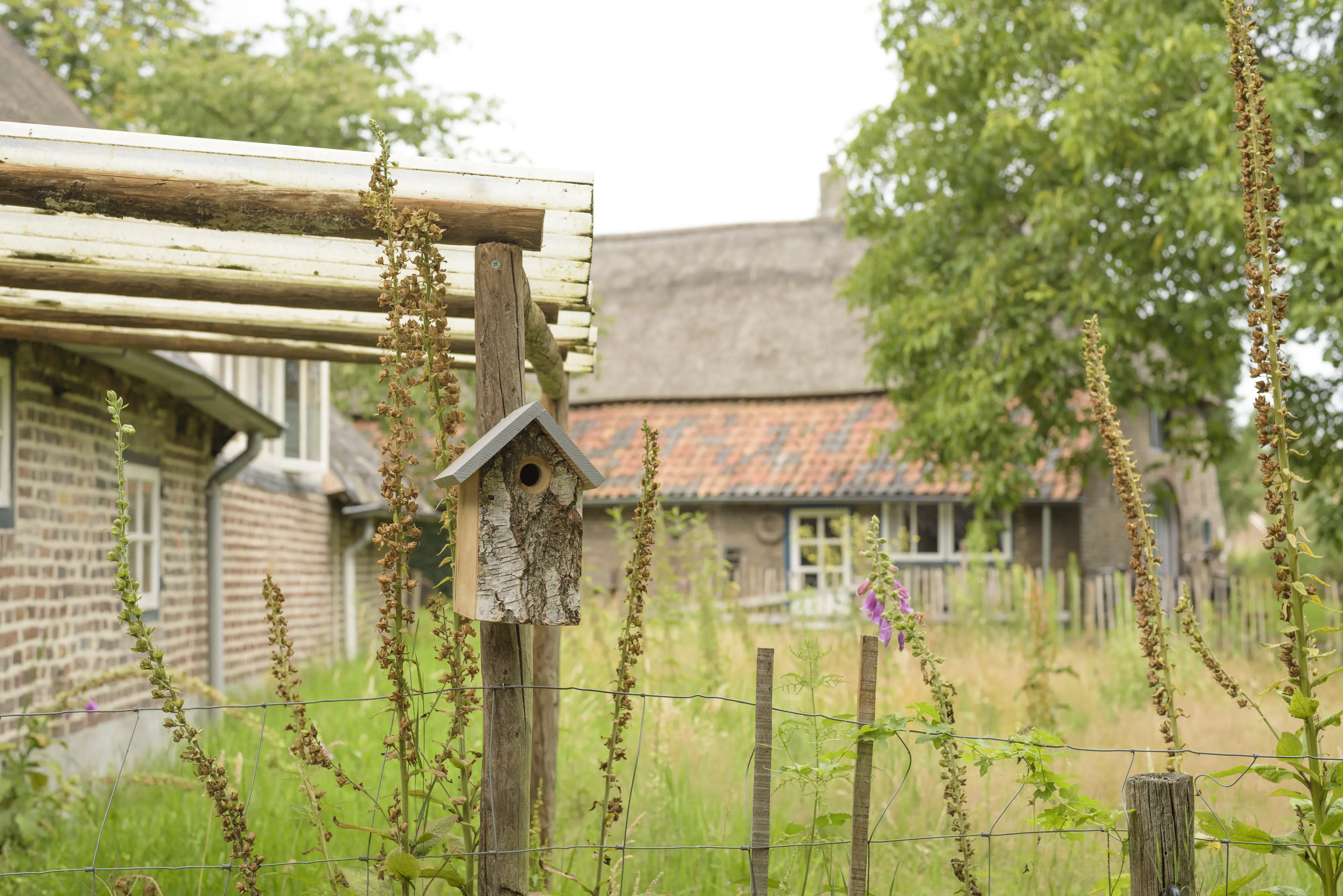 Nistkasten Kirkenes aus Birkenholz 26 x 19 x 16 cm 