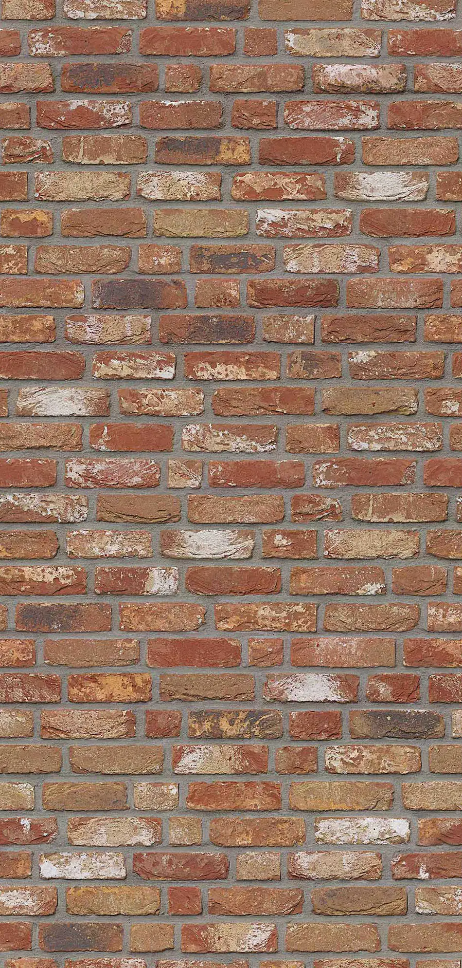 Breuer Duschrückwand Mauer-Optik Rot Dekor 150 x 255 x 0,3 cm Breuer Duschrückwand Mauer-Optik Rot Dekor 150 x 255 x 0,3 cm