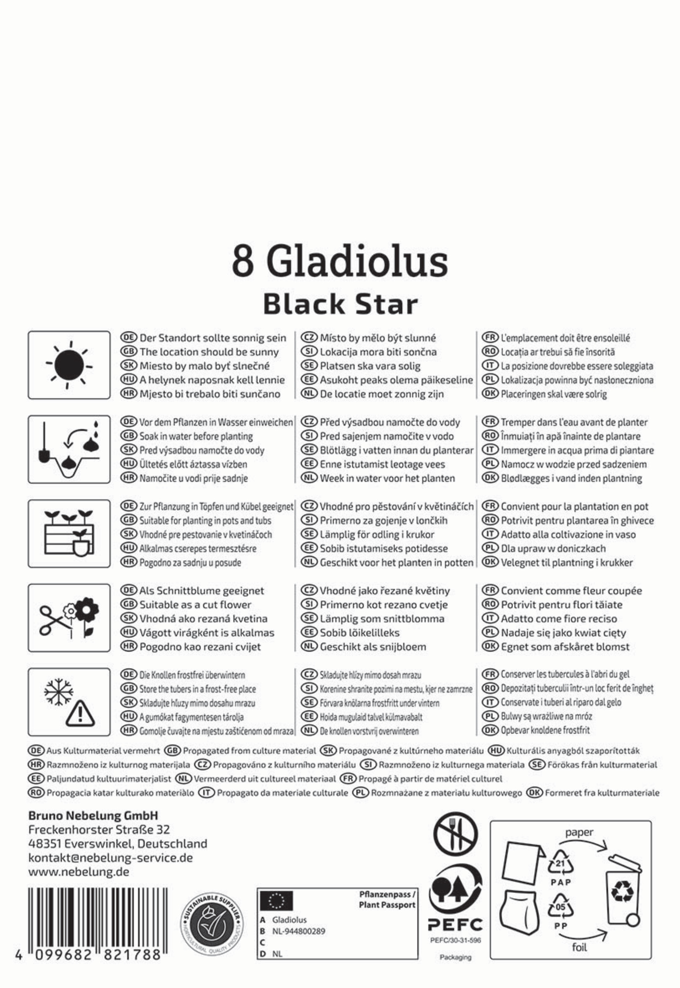 Kiepenkerl Profi-Line Frühjahrsblumenzwiebel Großblumige Gladiole Black Star 8 Stück