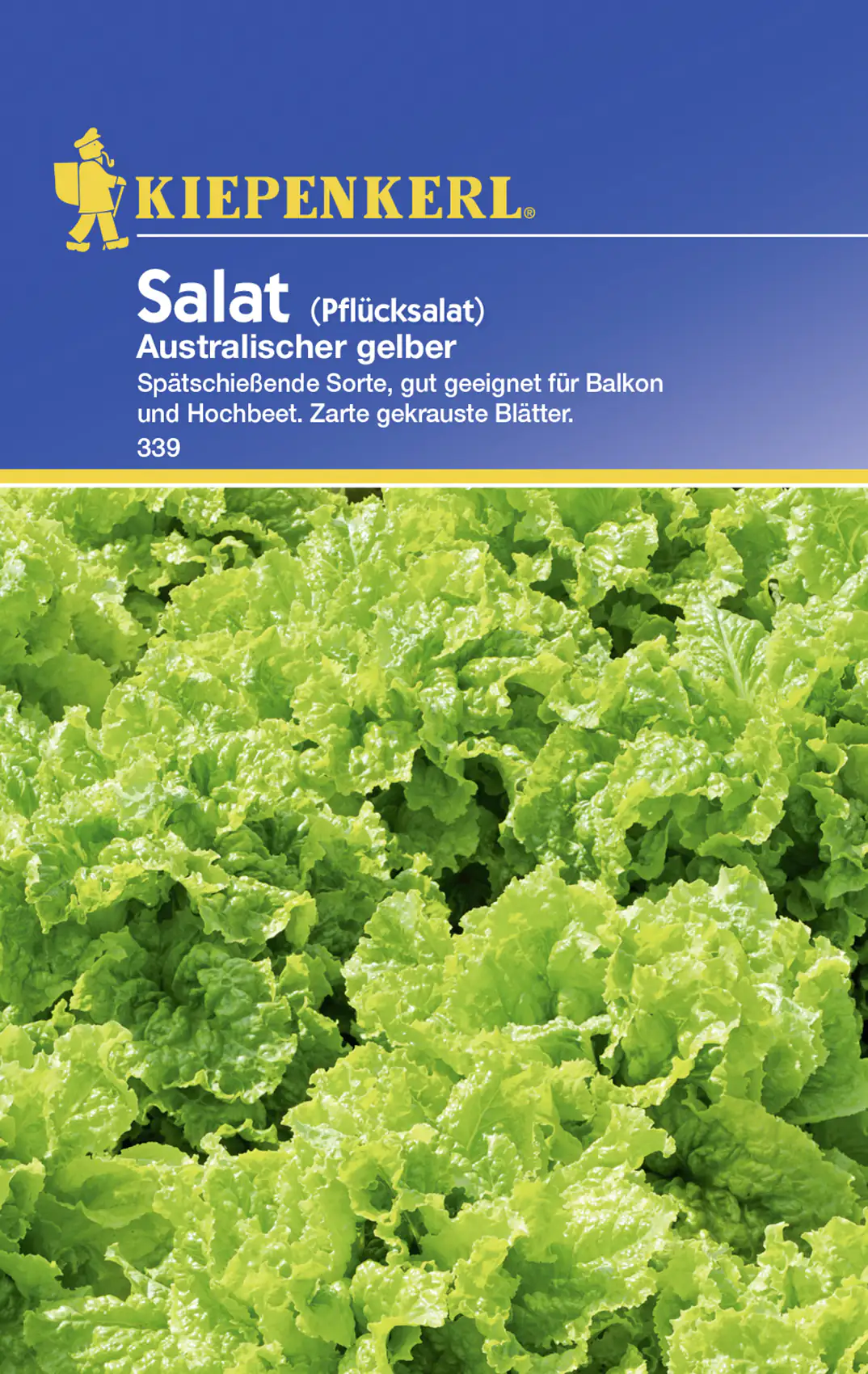 Kiepenkerl Pflücksalat Australischer gelber Lactuca sativa, Inhalt: ca. 5 lfd. Meter