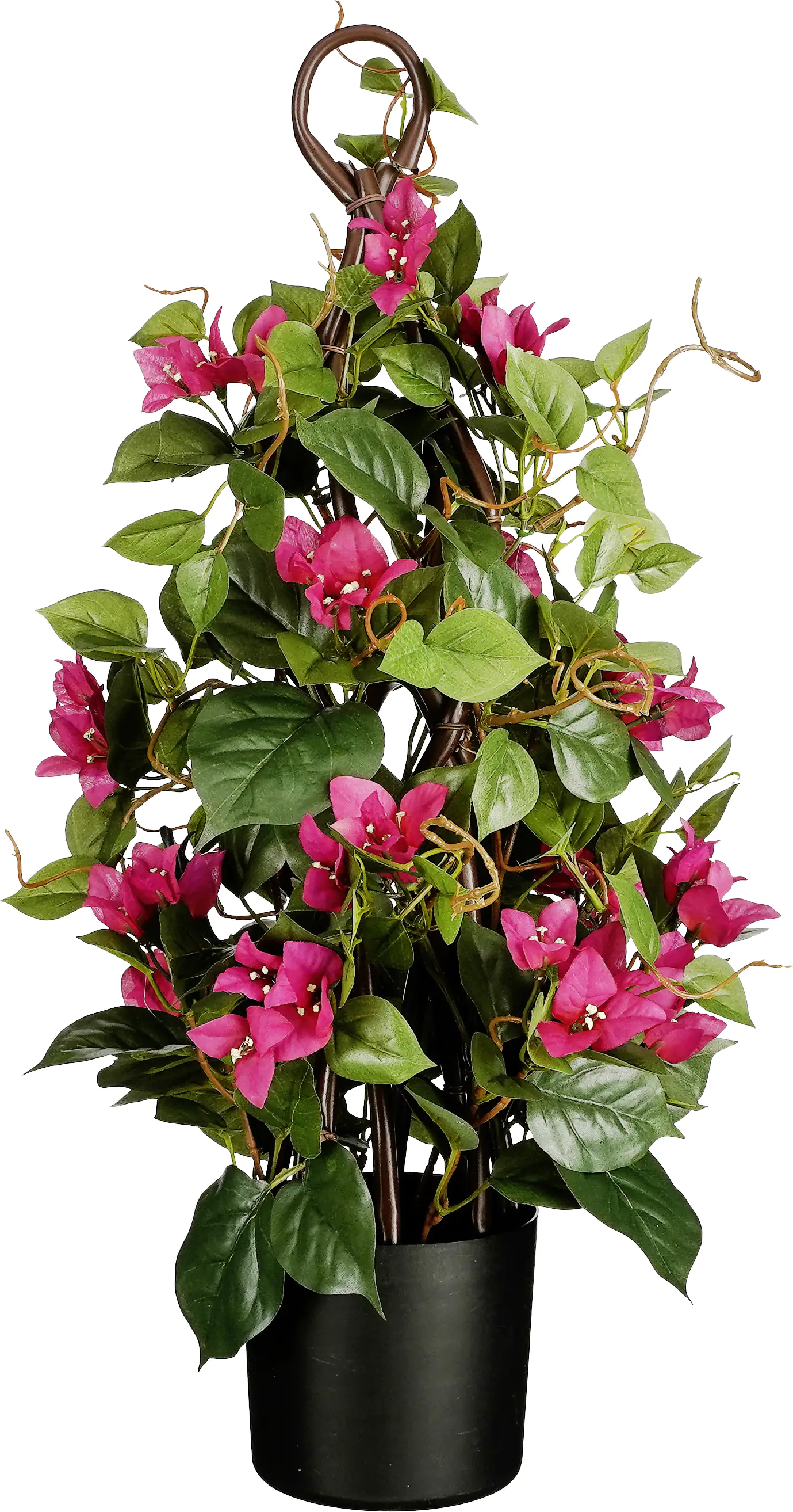 Mica Decorations Bougainvillea im Topf Ø 30 x 60 cm fuchsia Mica Decorations Bougainvillea im Topf Ø 30 x 60 cm fuchsia