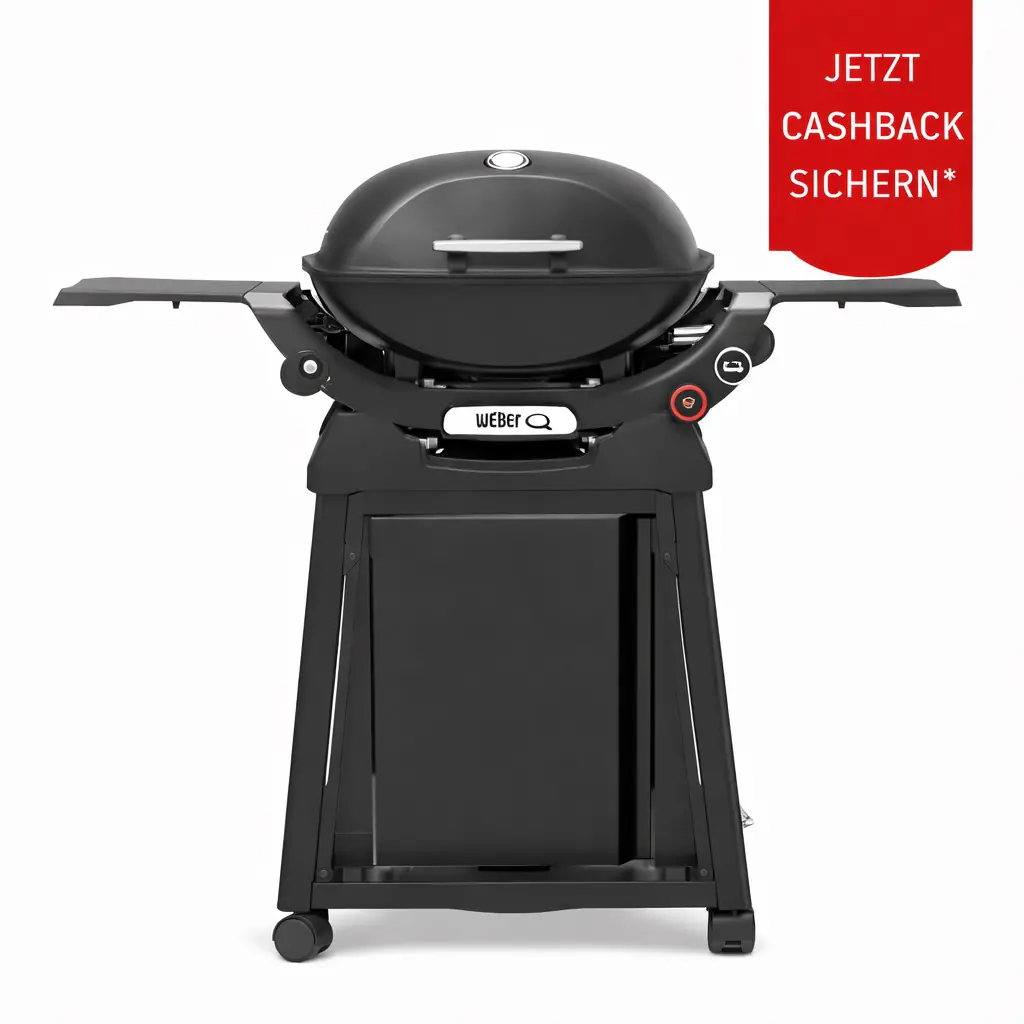 Weber Gasgrill Q2800N mit Rollwagen Grillfläche: 41 x 56 cm