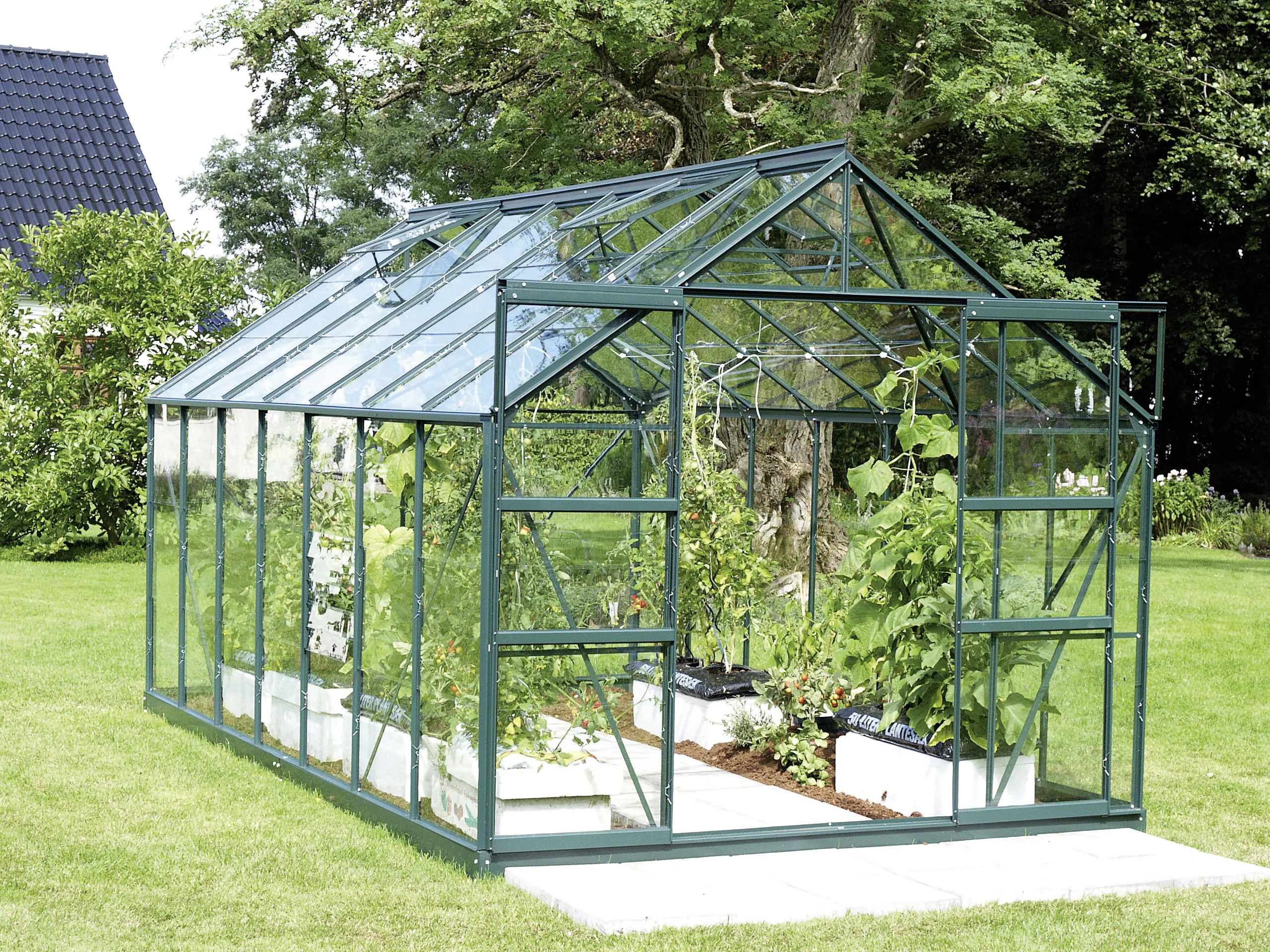 Vitavia Gewächshaus Mars 11500 445 x 257 cm 3 mm Sicherheitsglas Vitavia Gewächshaus Mars 11500 445 x 257 cm 3 mm Sicherheitsglas