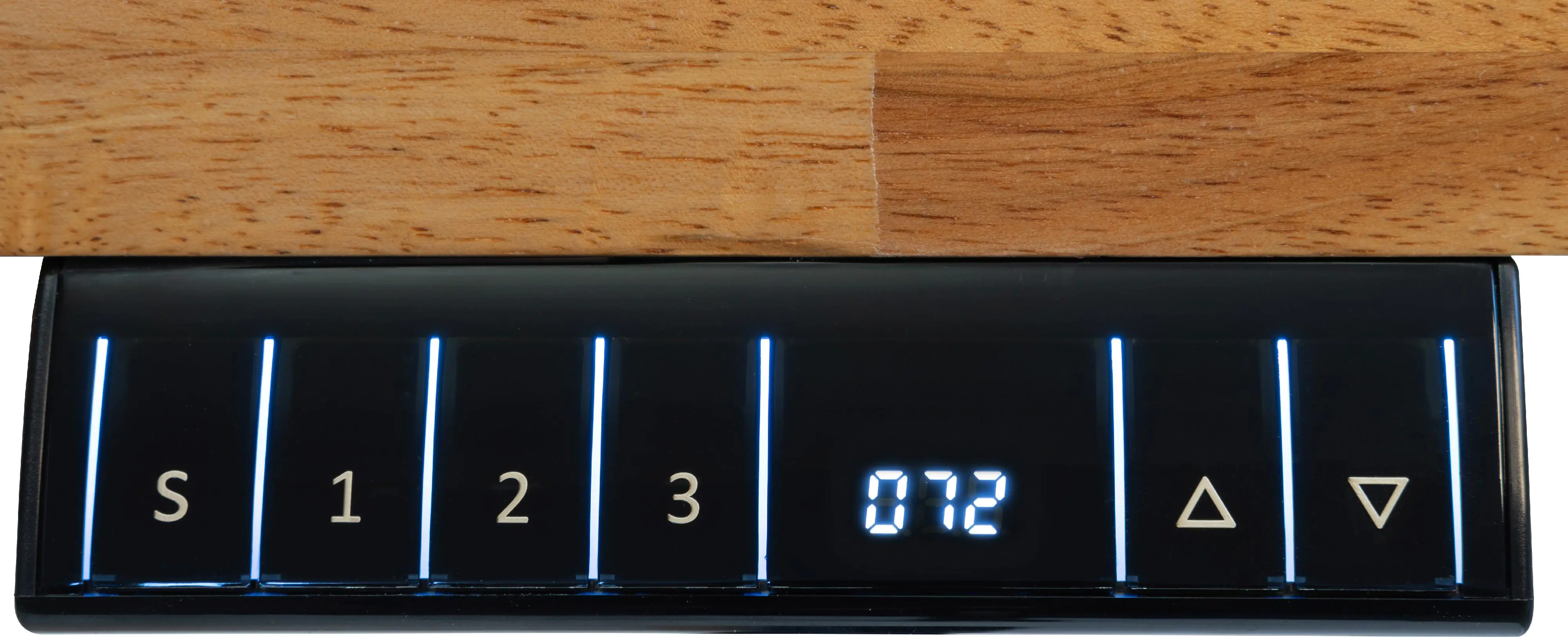 Holzmann Hobelbank höhenverstellbar WB210ELIFT_230V