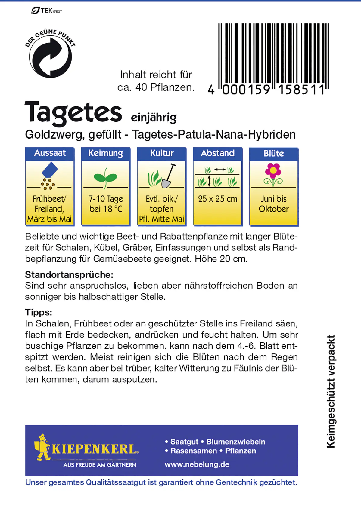 Kiepenkerl Tagetes Goldzwerg Tagetes patula, Inhalt: ca. 40 Pflanzen