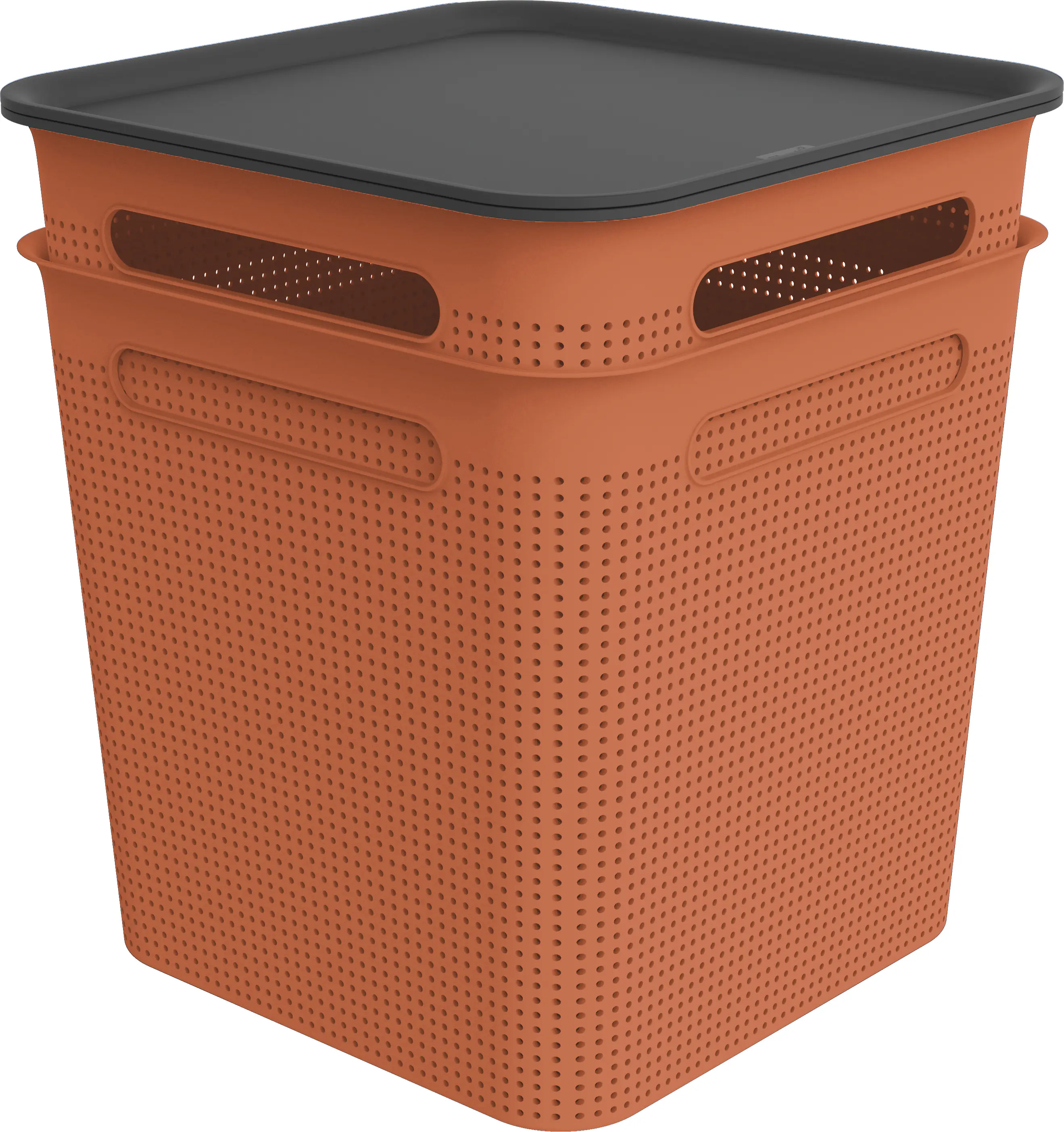 Rotho Aufbewahrungsbox Brisen mit Deckel 29,5 x 29,5 cm 18 L clay koralle 2er Set
