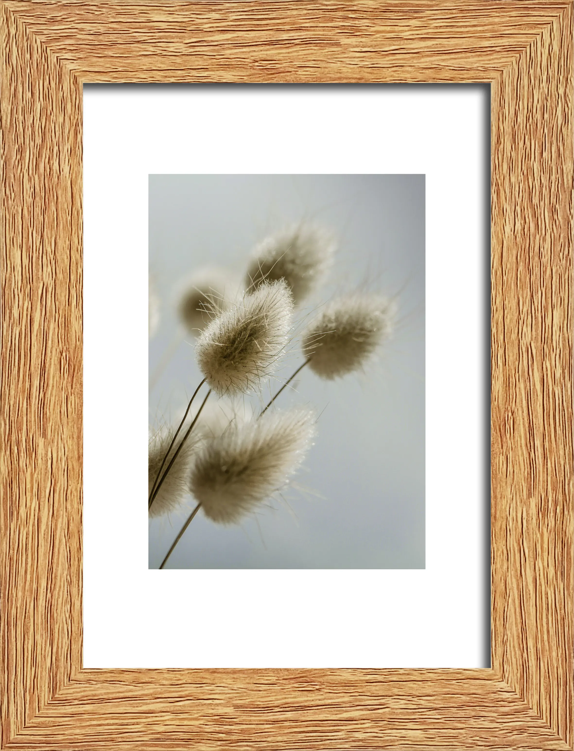 Bilderrahmen Holz Arosa eiche hell 10,5 x 15 cm