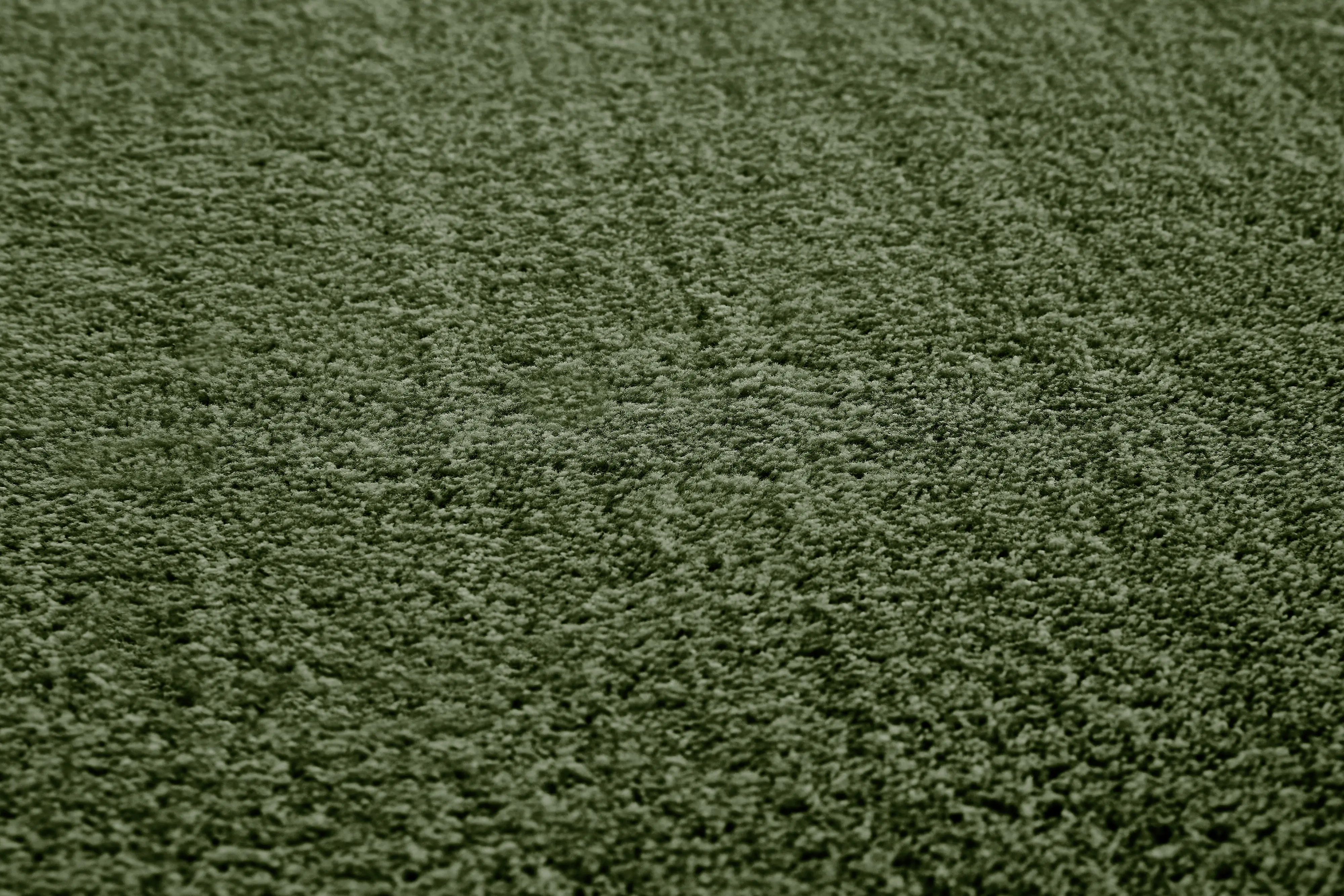 Flachwebteppich Bartolo 160 x 230 cm waldgrün