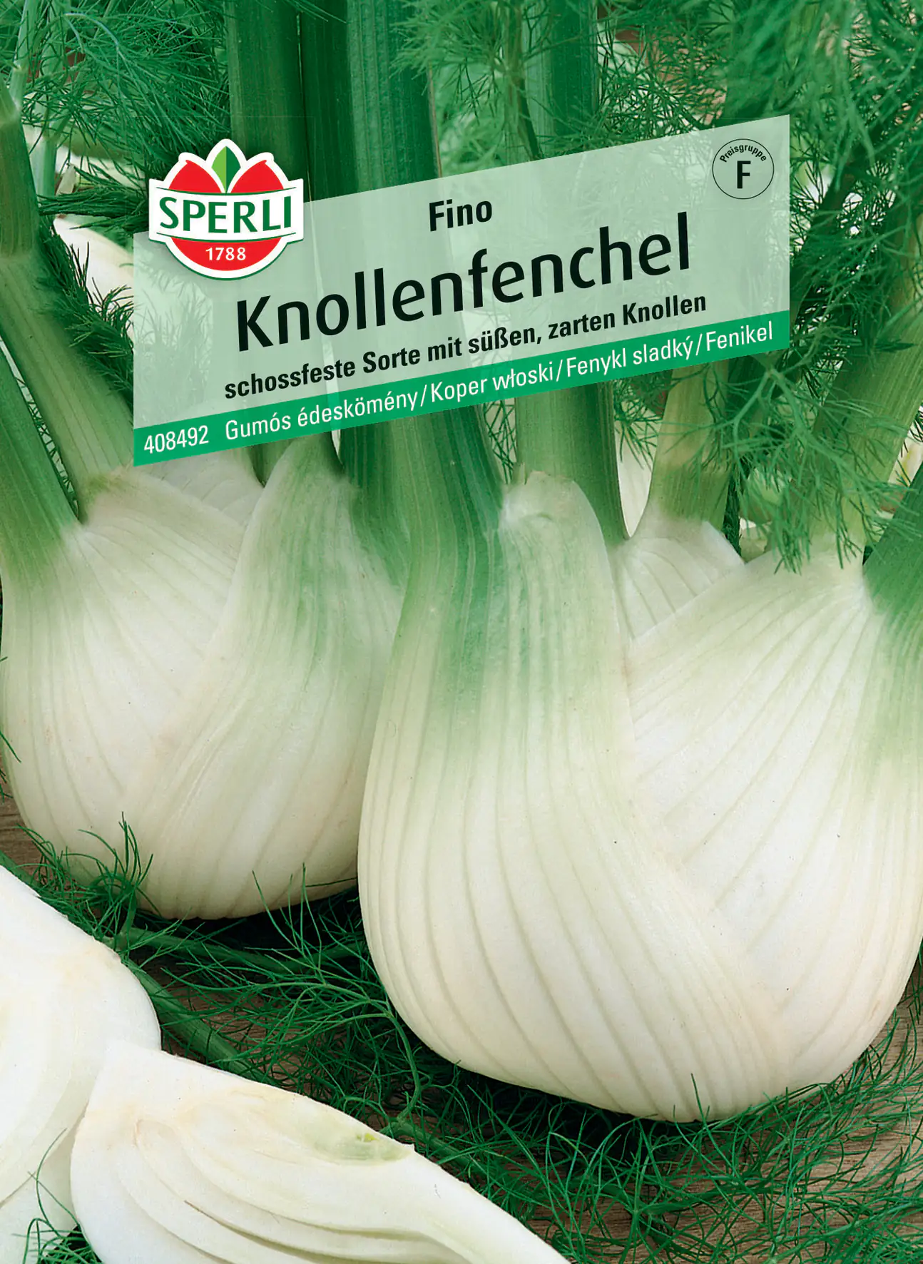 Sperli Knollenfenchel Fino