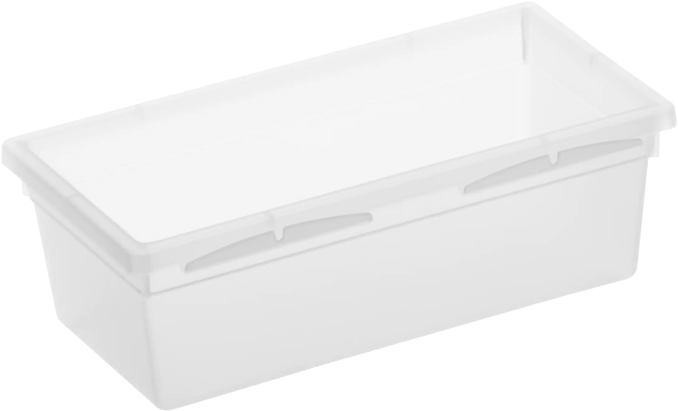 Rotho Ordnungssystem Basic 15 x 8 x 5 cm, transparent