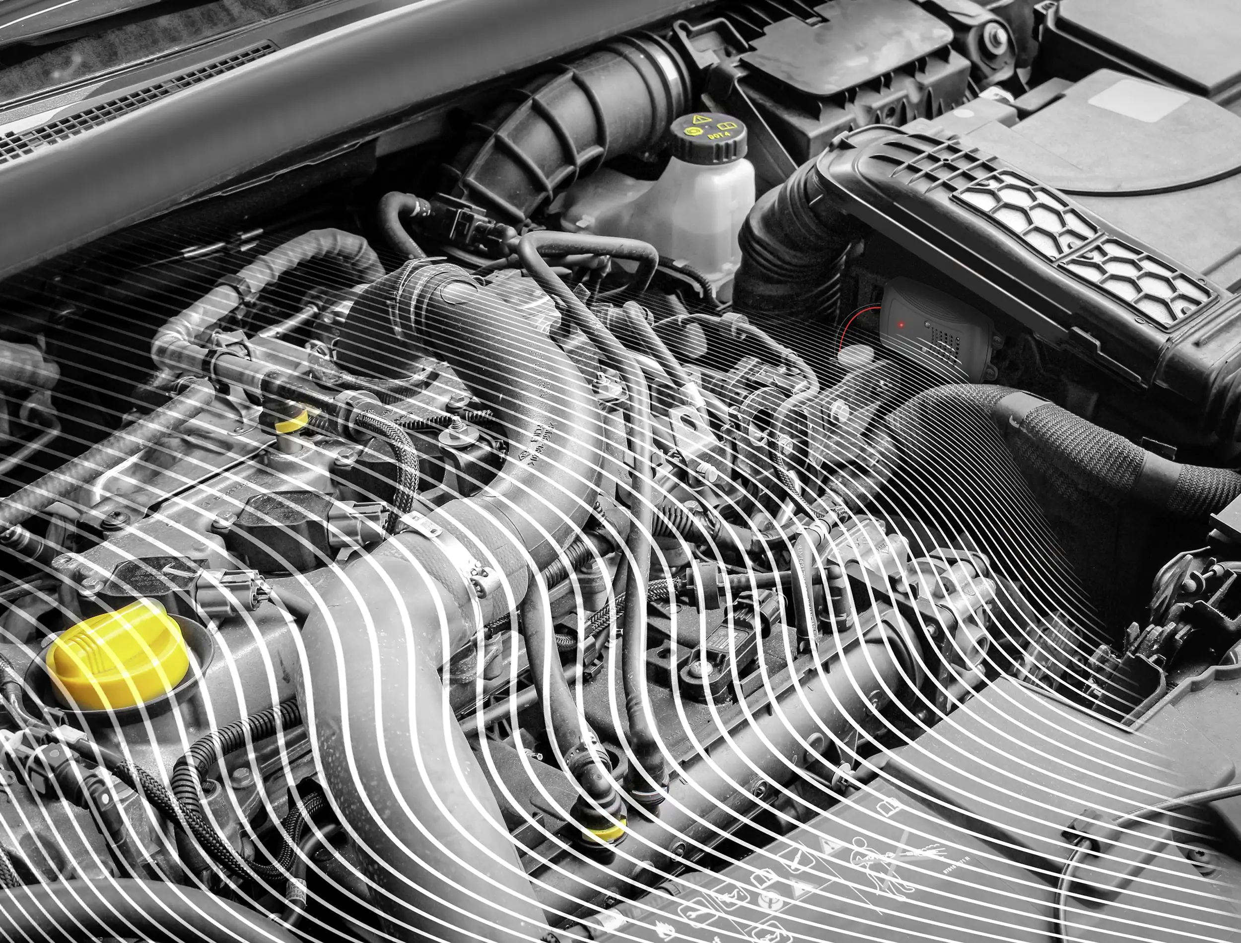 Marderschreck Marderabwehrgerät Ultraschall 12V mit Blitz-LEDs