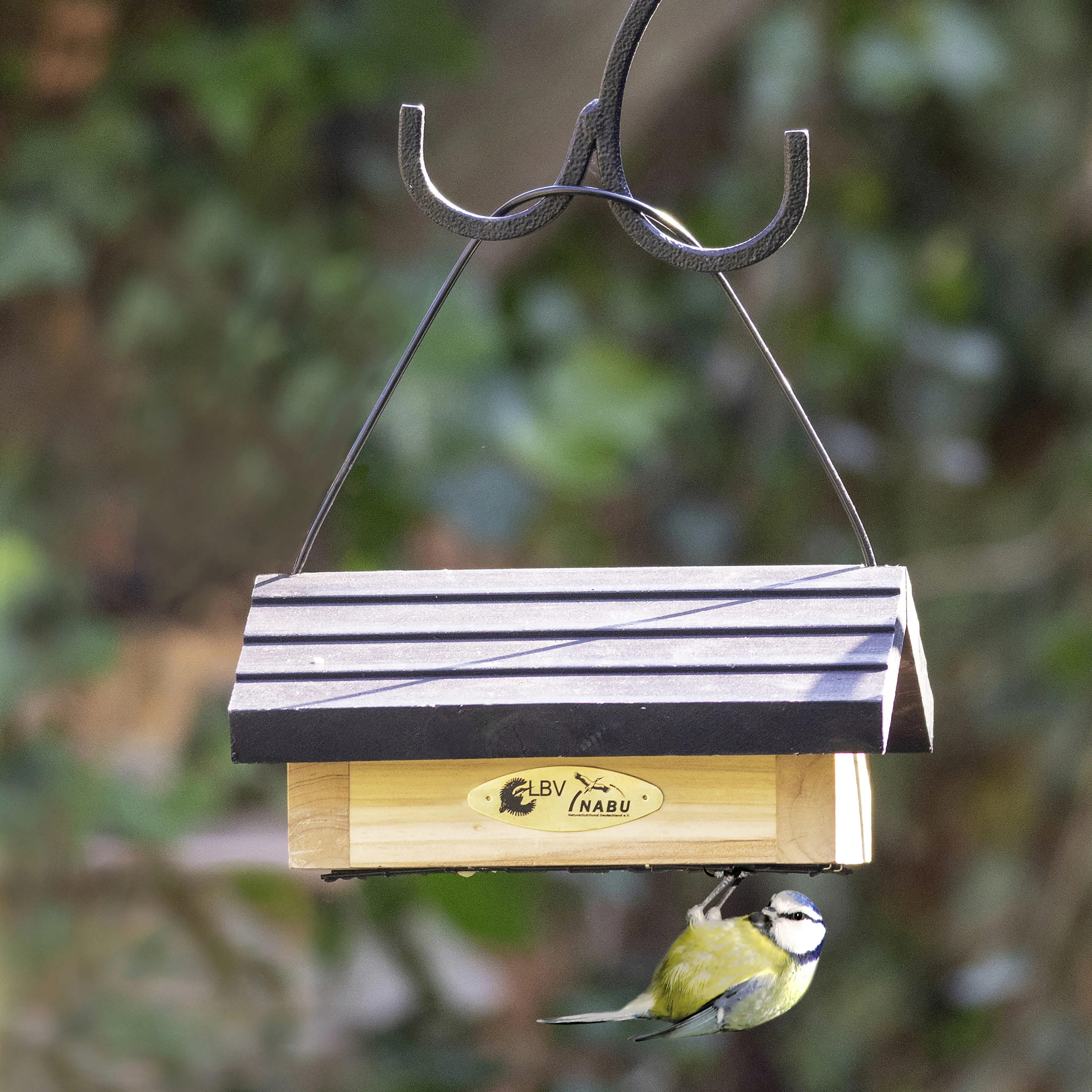 CJ Wildbird Fettblockhalter Odense für Wildvögel