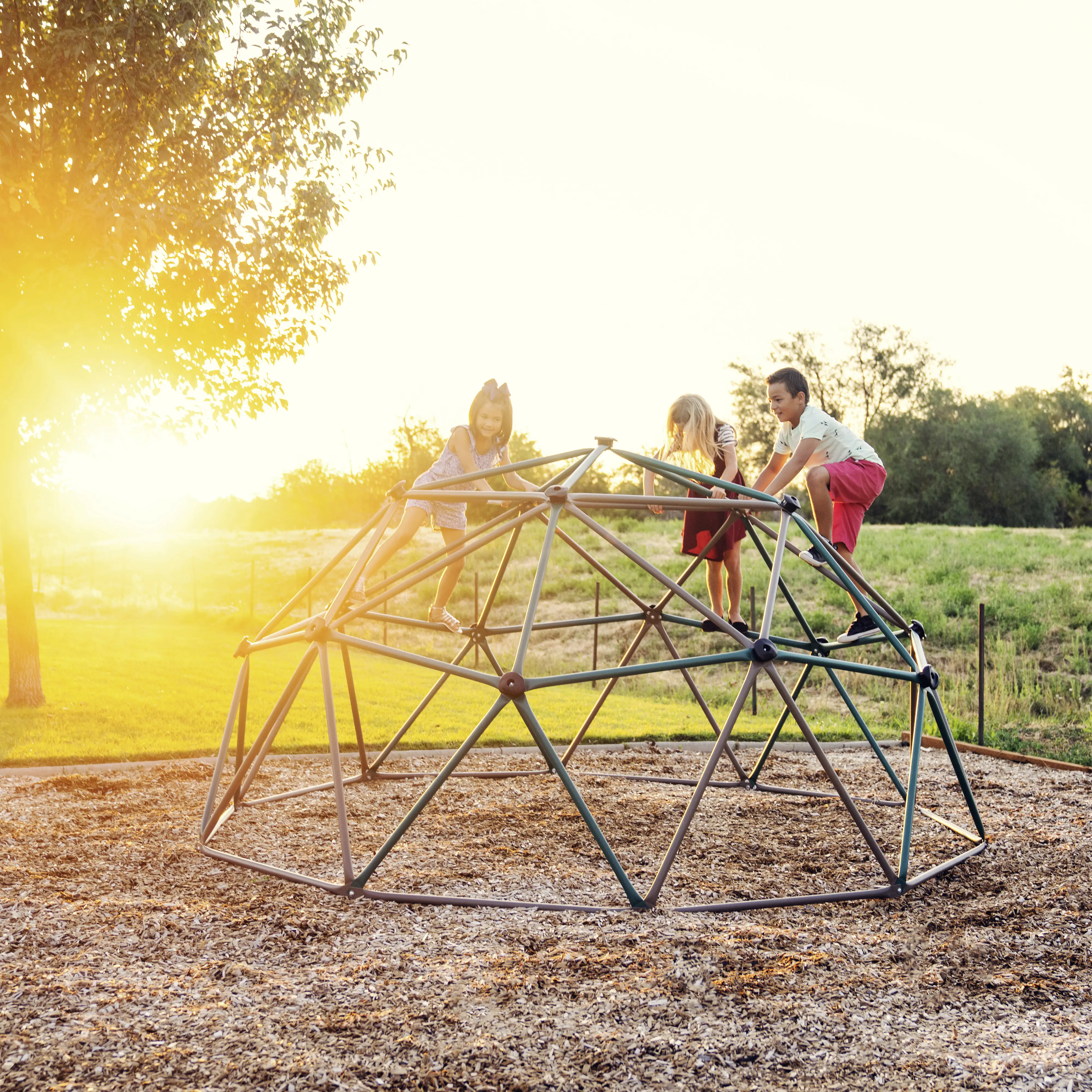 0081483826332_3018971 Lifetime Kletterkugel Geodome grün bronze mit Abdeckung Spielzelt 305 x 152 cm