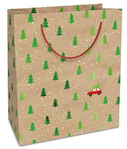 Braun & Company Geschenktragetasche Little red car natur 18 x 21 x 8 cm