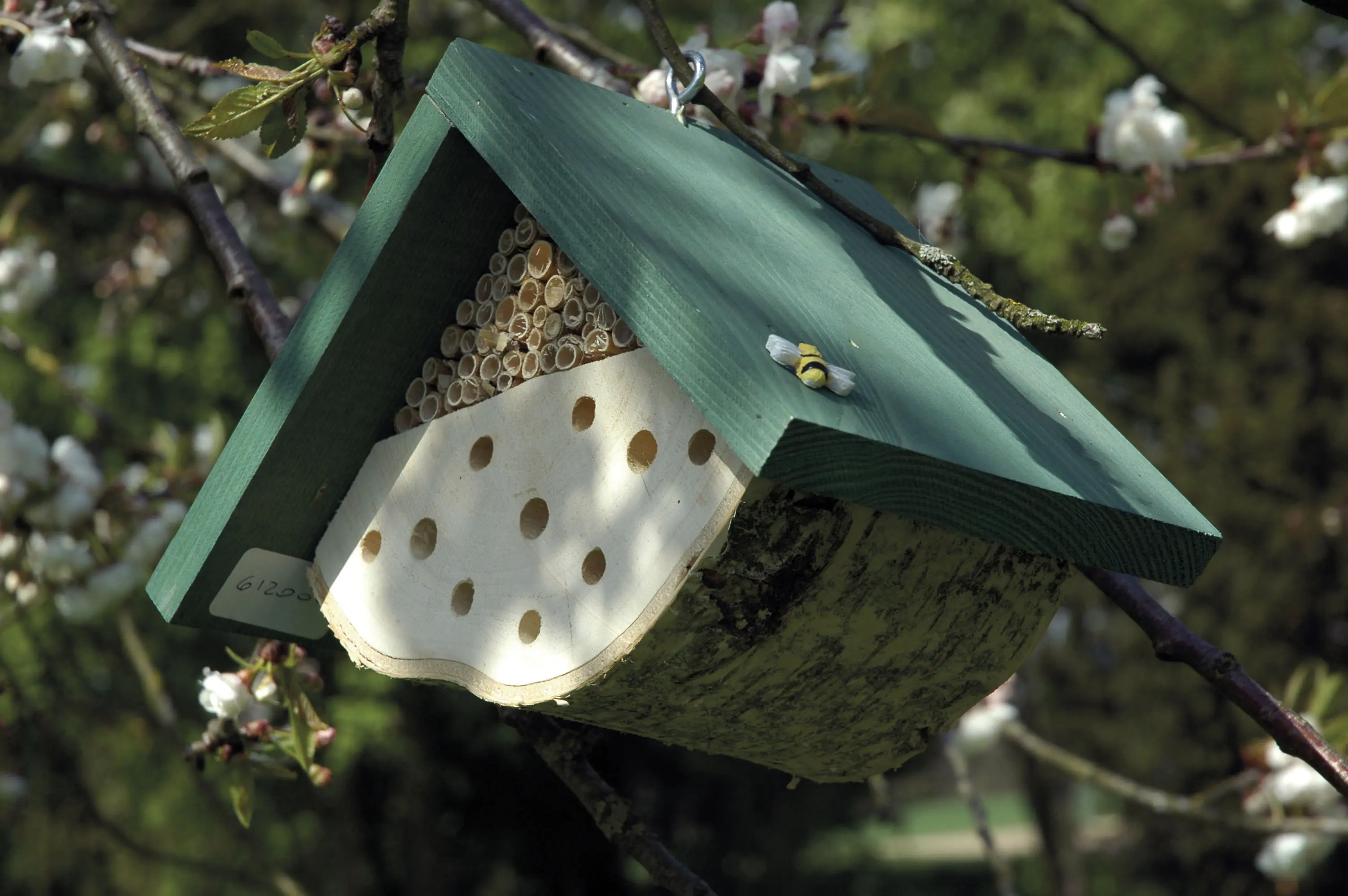 Dobar Insektenhotel Nisthilfe für Wildbienen 22 x 14 x 15 cm grün