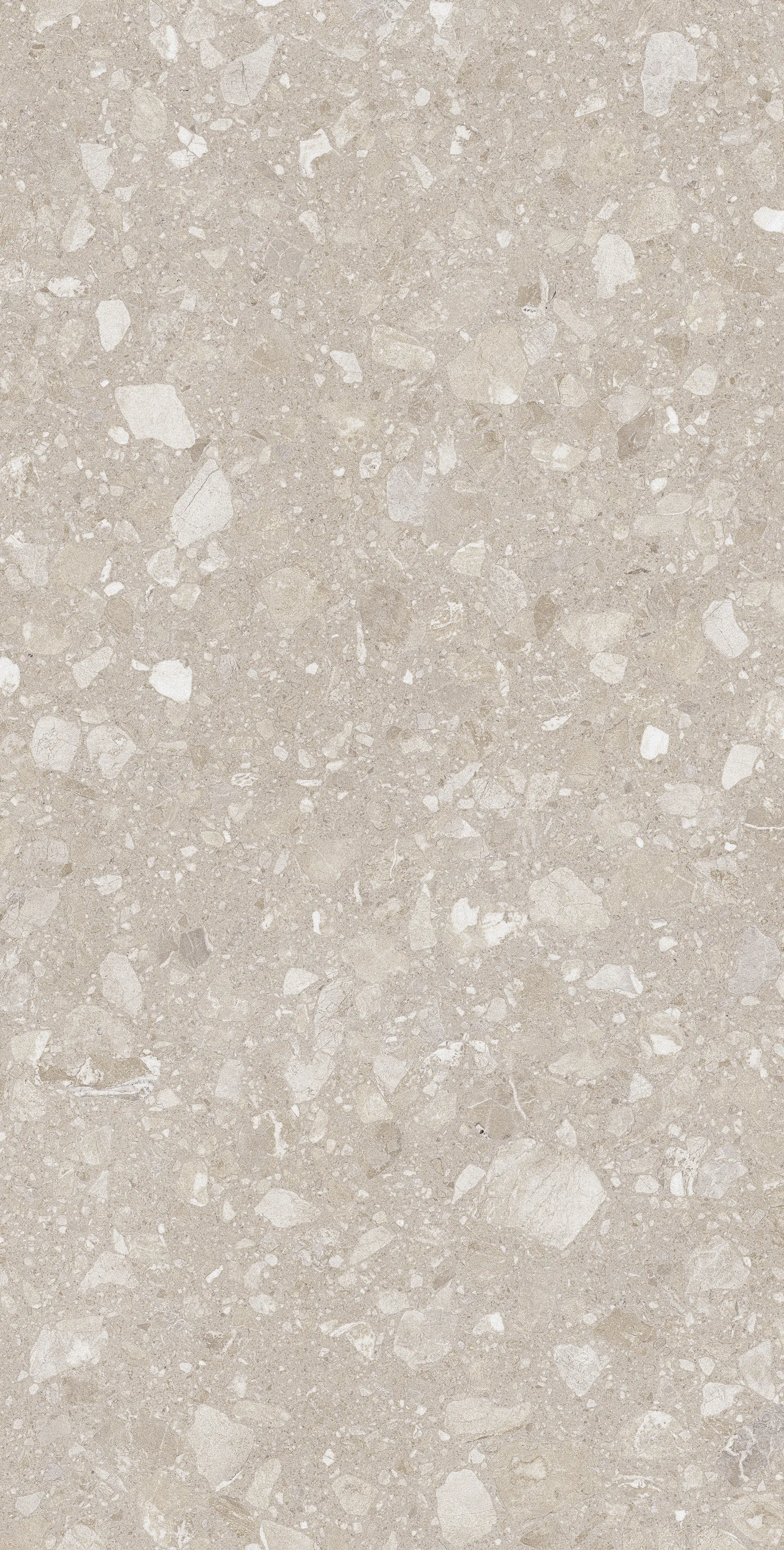 Bodenfliese Feinsteinzeug Terra 60 x 120 cm beige