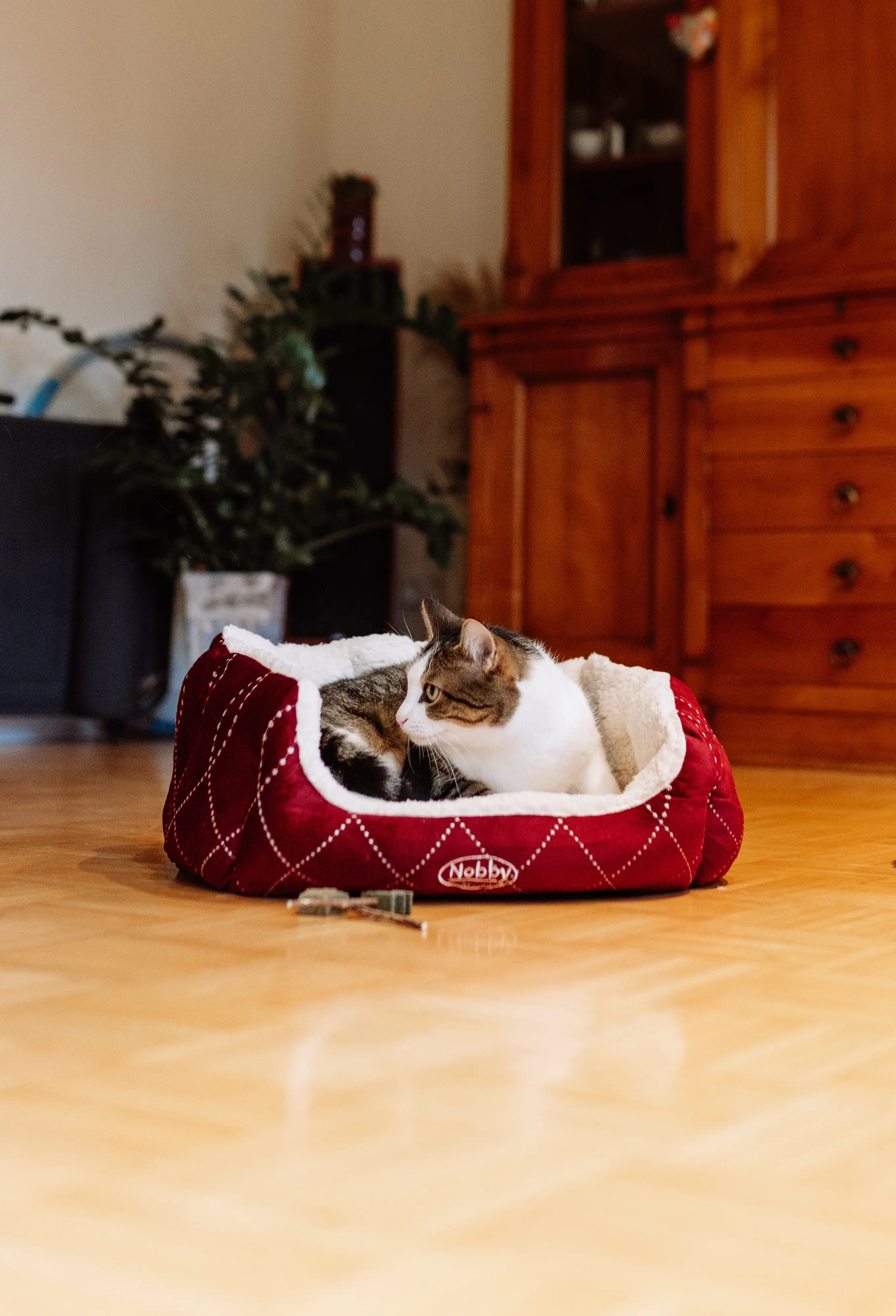 Nobby Komfortbett Ceno oval weinrot/beige