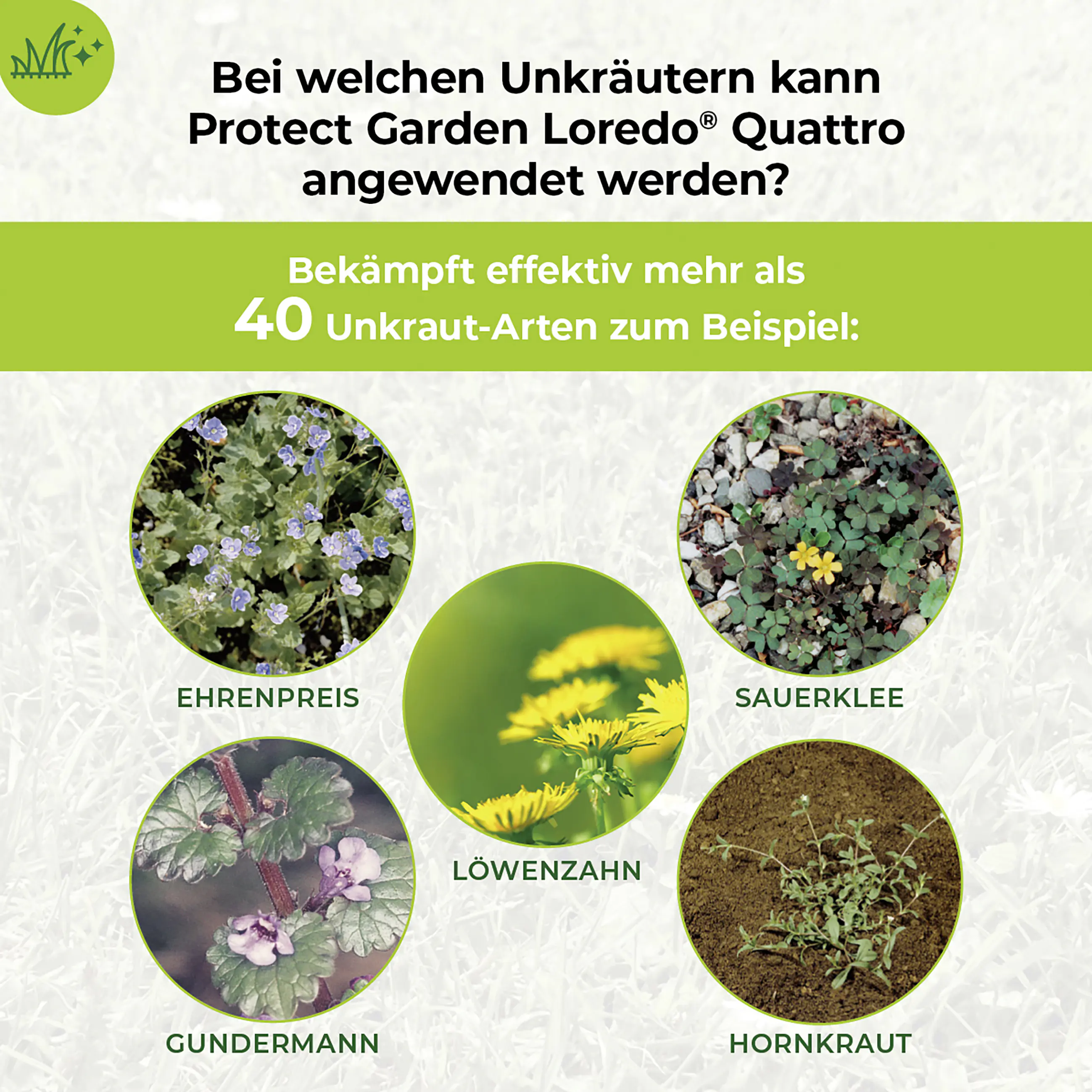 Protect Garden Loredo Quattro Universal Rasenunkrautfrei 100 ml