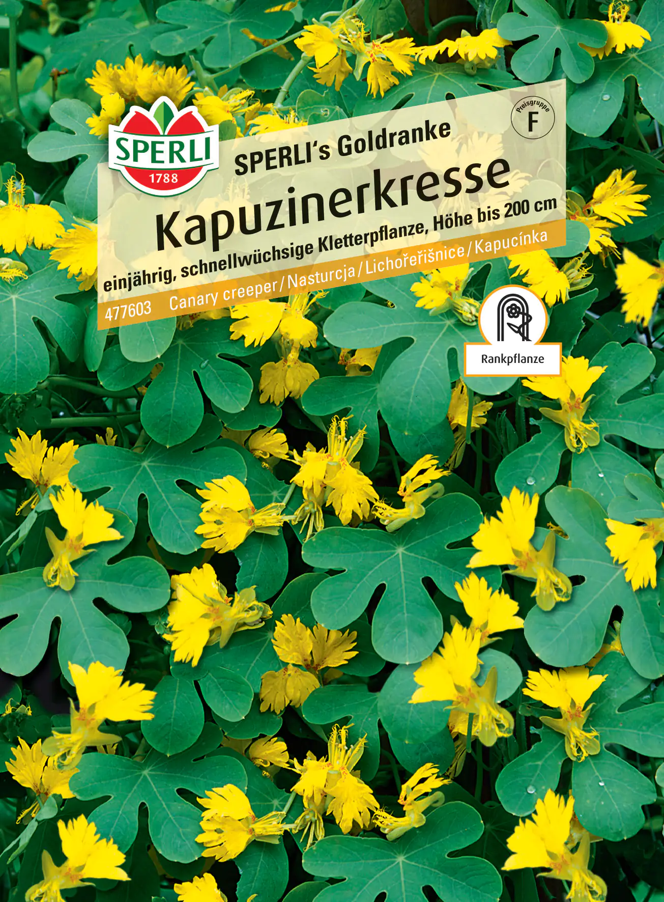 Sperli Kapuzinerkresse SPERLI's Goldranke
